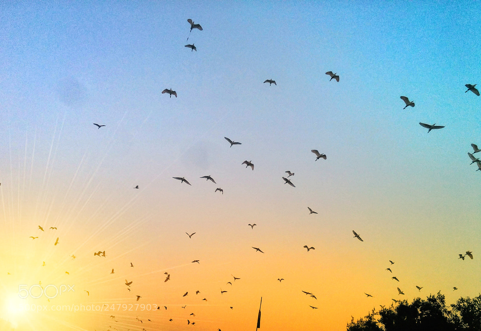 LG Nexus 5 sample photo. # evening blush # photography