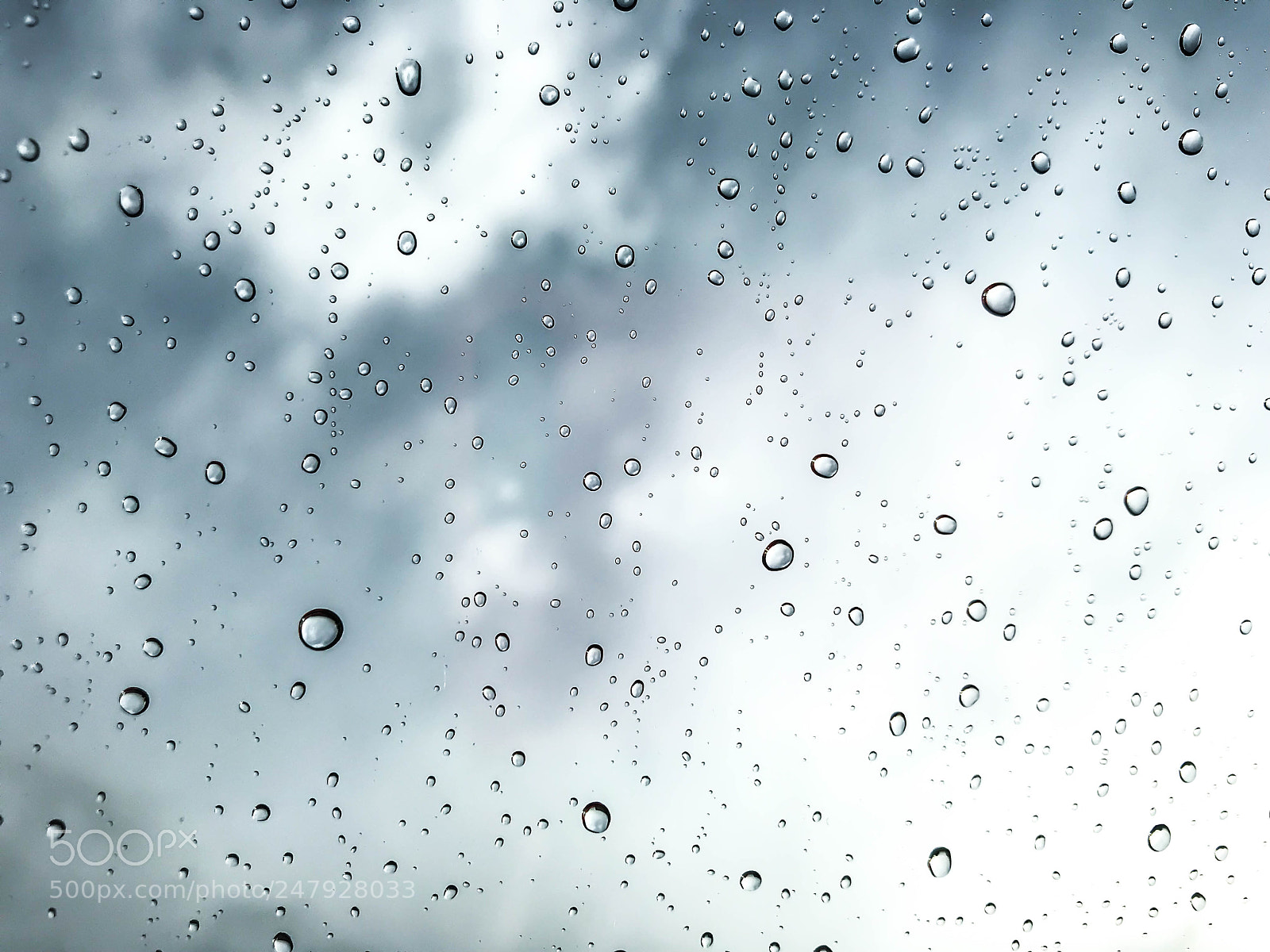 Apple iPhone 7 Plus sample photo. Rainy day photography