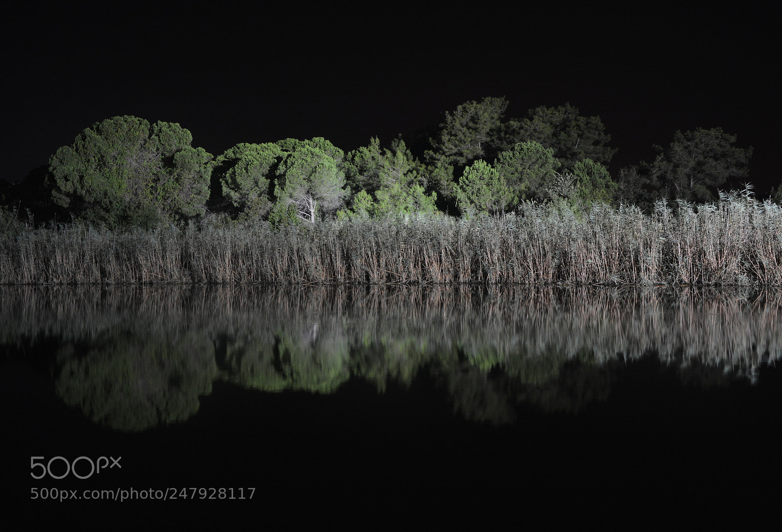 Nikon D5200 sample photo. Night reflections1 photography