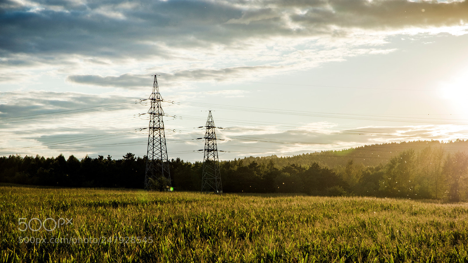 Pentax K-3 sample photo. 田野 photography