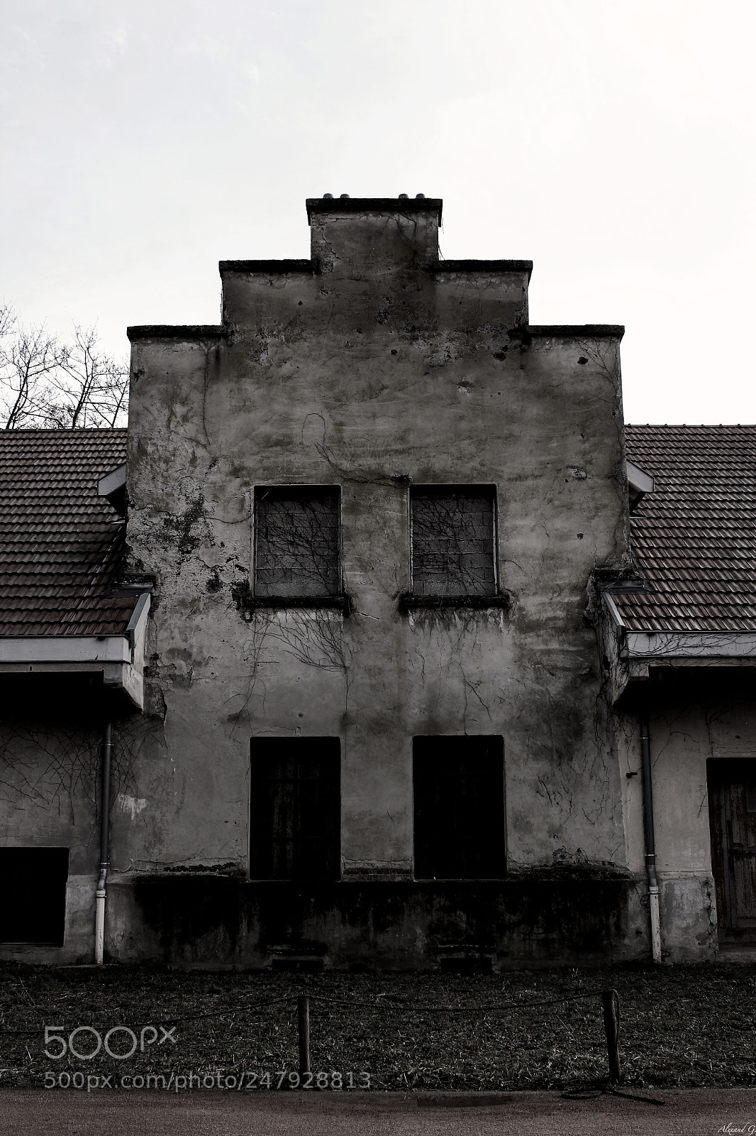 Canon EOS 600D (Rebel EOS T3i / EOS Kiss X5) sample photo. Dystopian photography