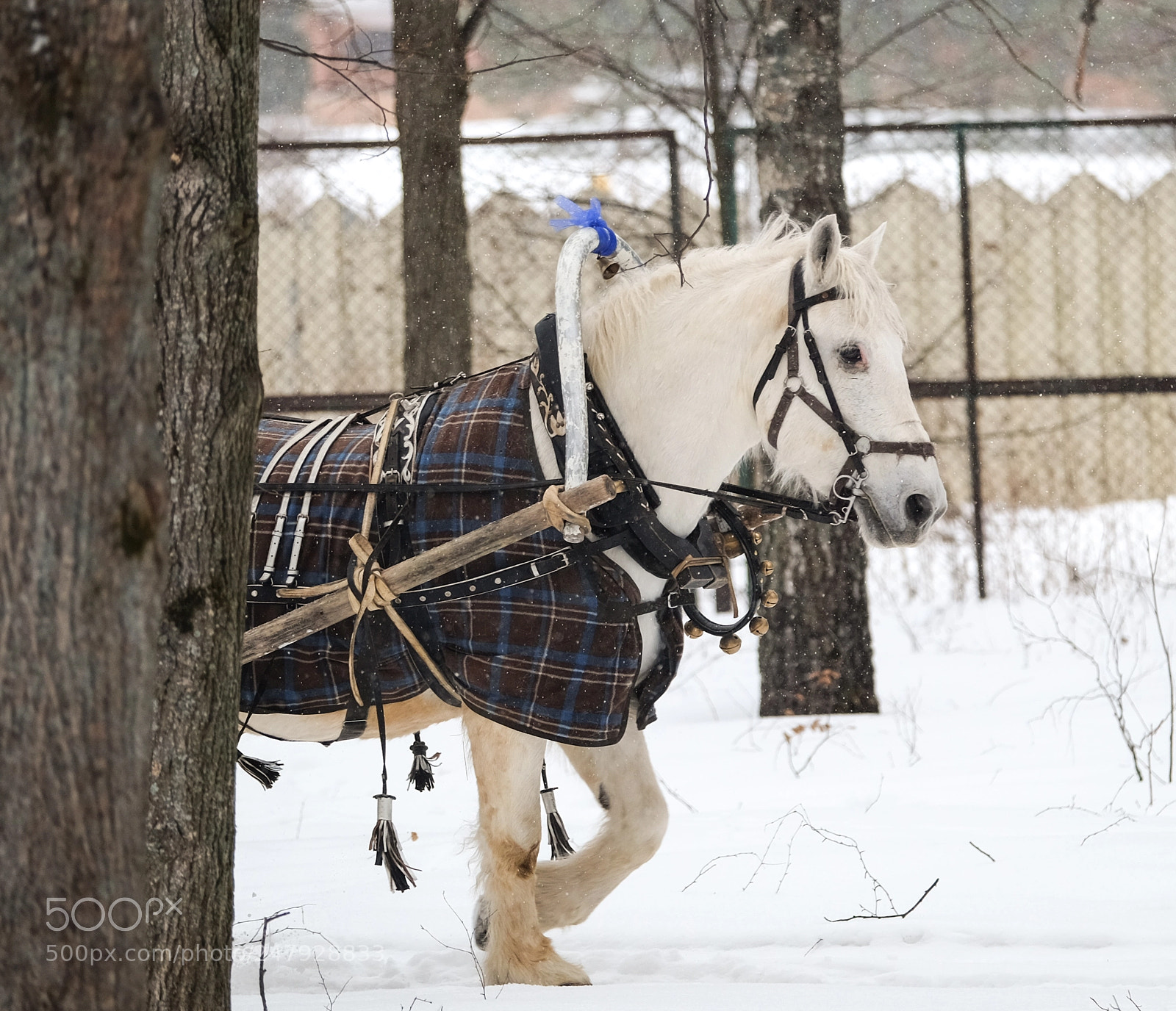 Fujifilm X-T1 sample photo. Russian winter photography