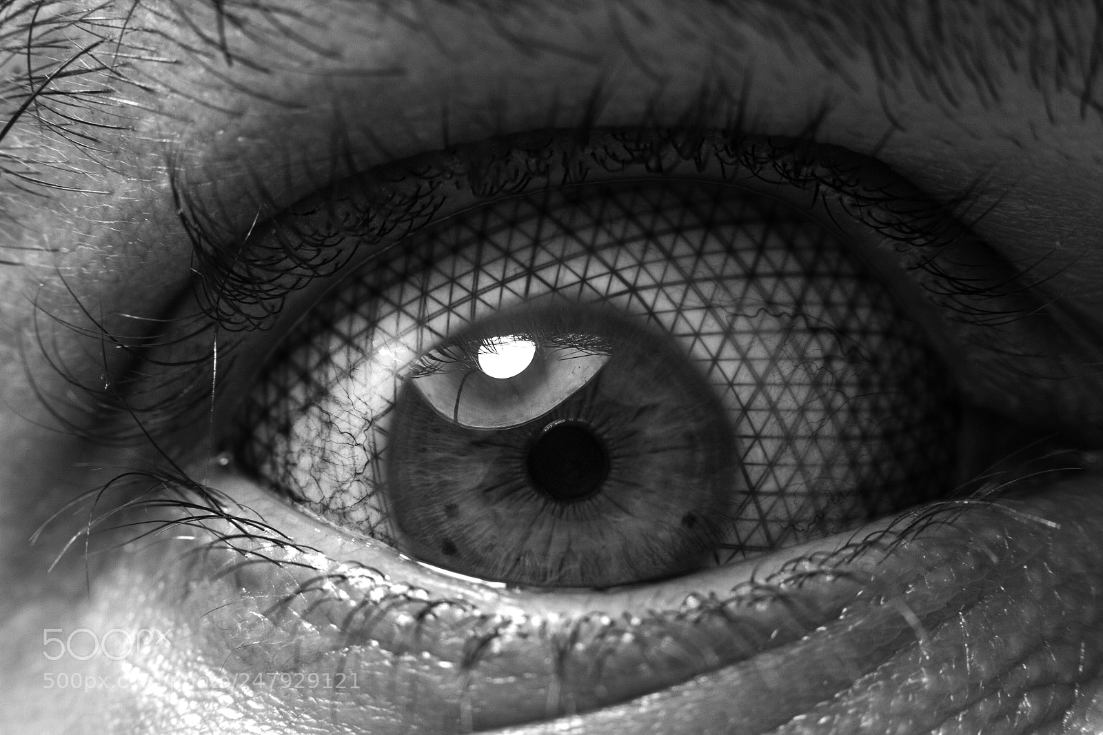 Canon EOS 7D sample photo. Ephemeral visualizations | domeye photography