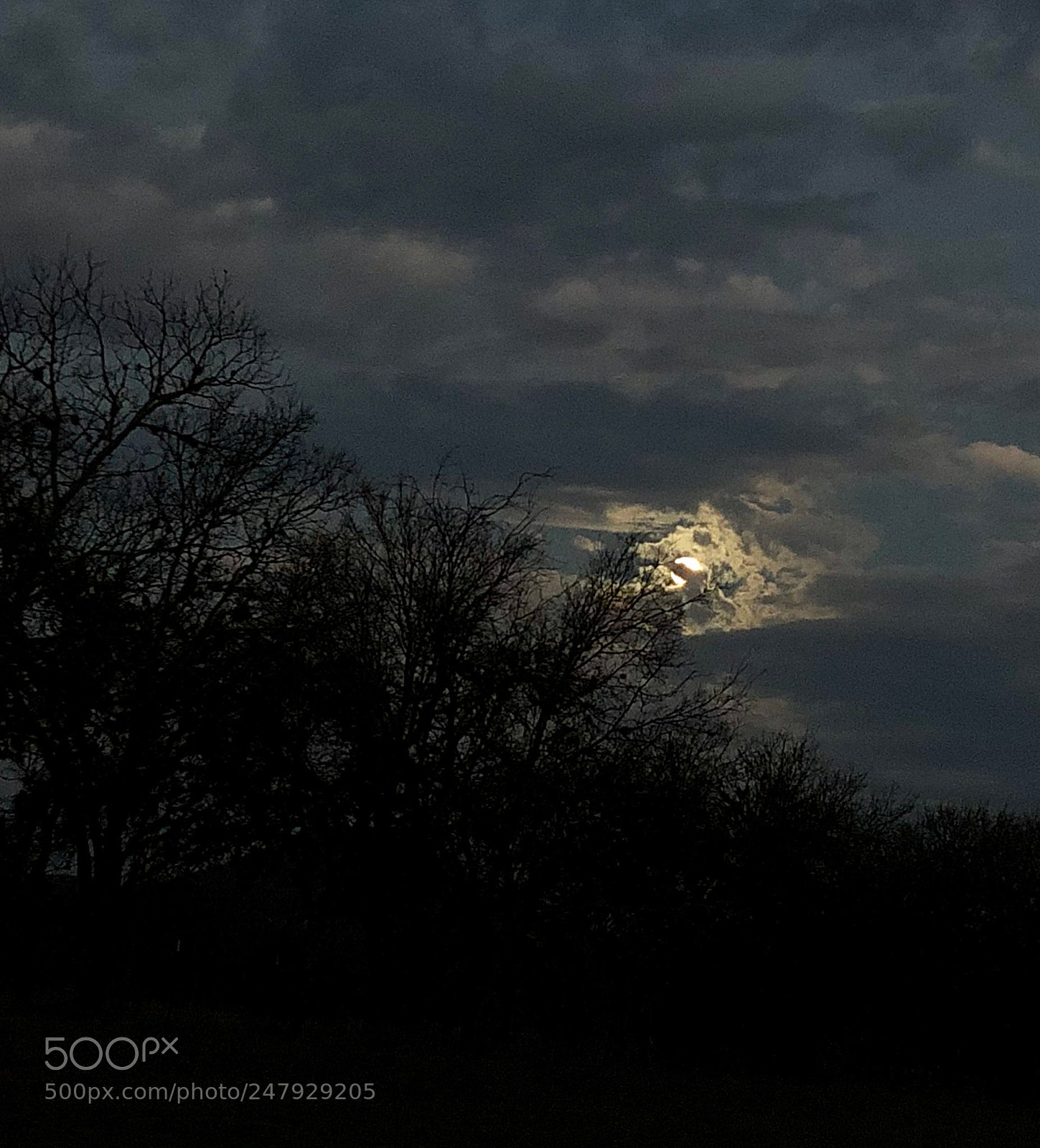 Apple iPhone X sample photo. Morning moonlight photography