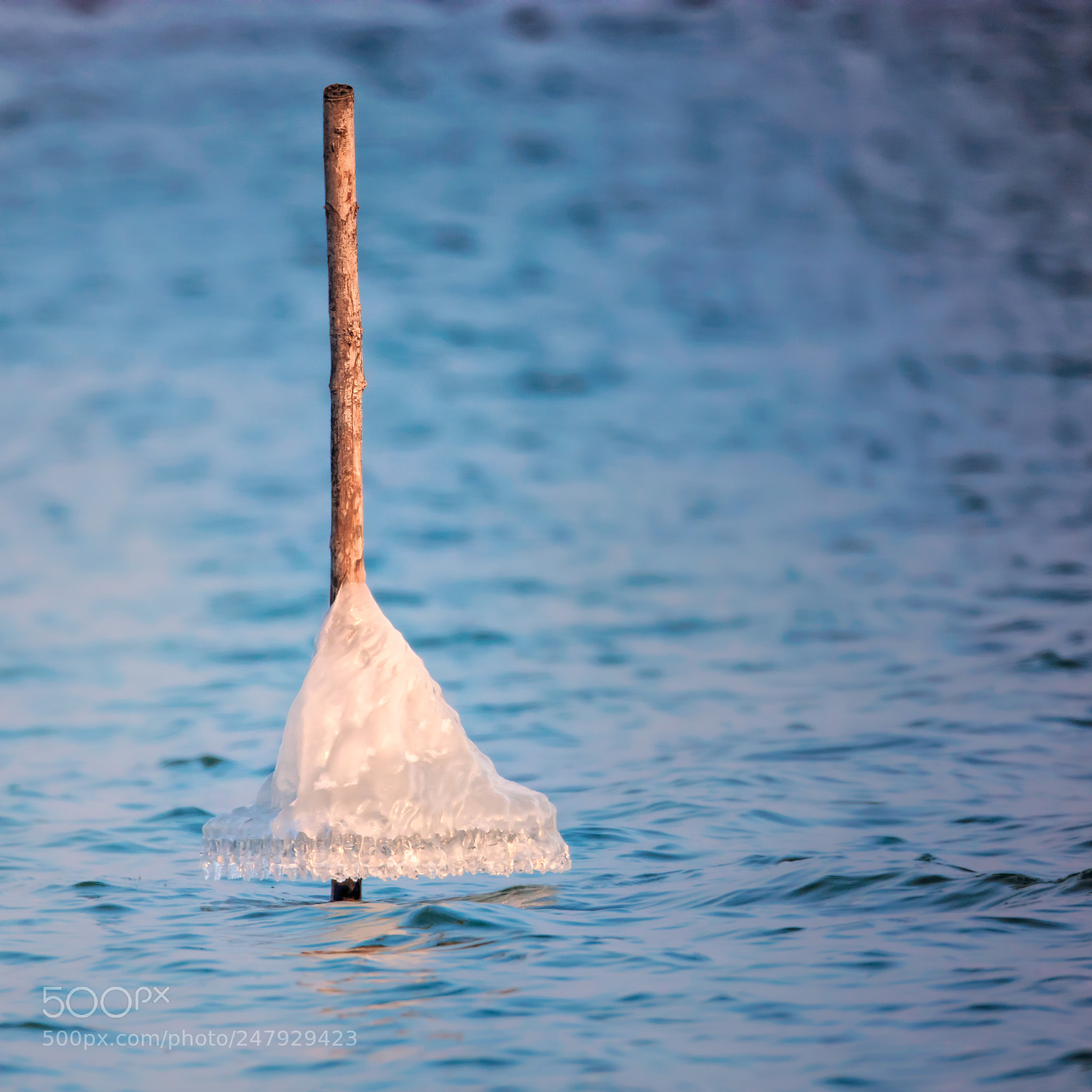 Canon EOS 5DS R sample photo. Popsicle ii photography