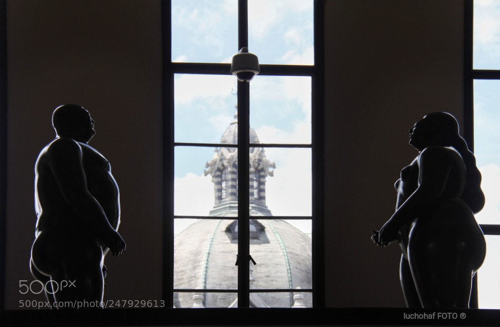 Canon EOS 60D sample photo. Museo de antioquia photography