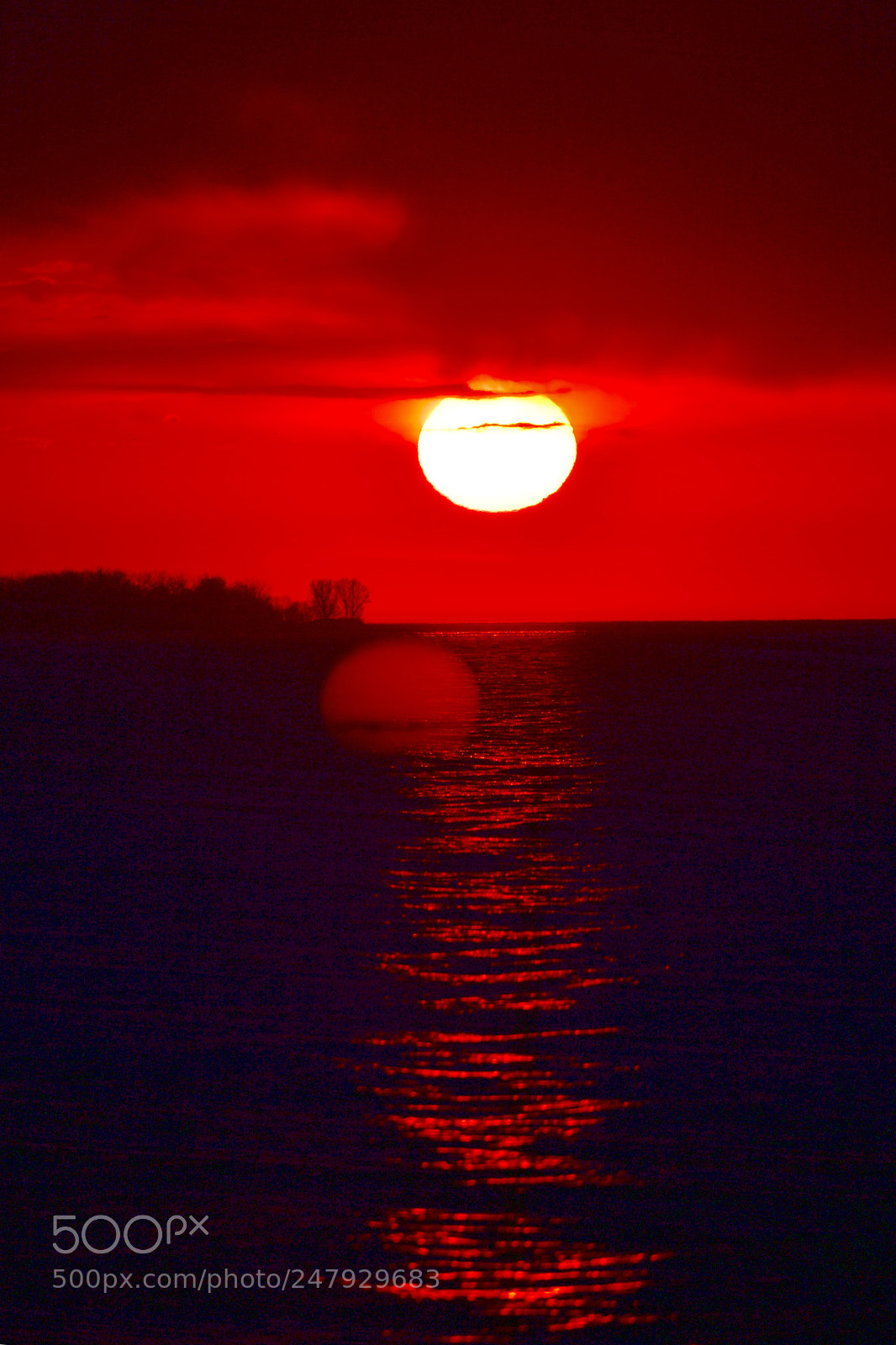 Nikon D5 sample photo. Twin sun ？ photography