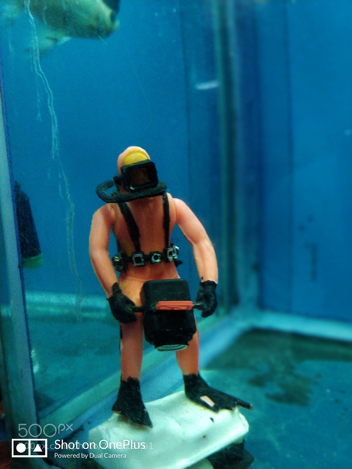 OnePlus 5T sample photo. Scuba diving photography