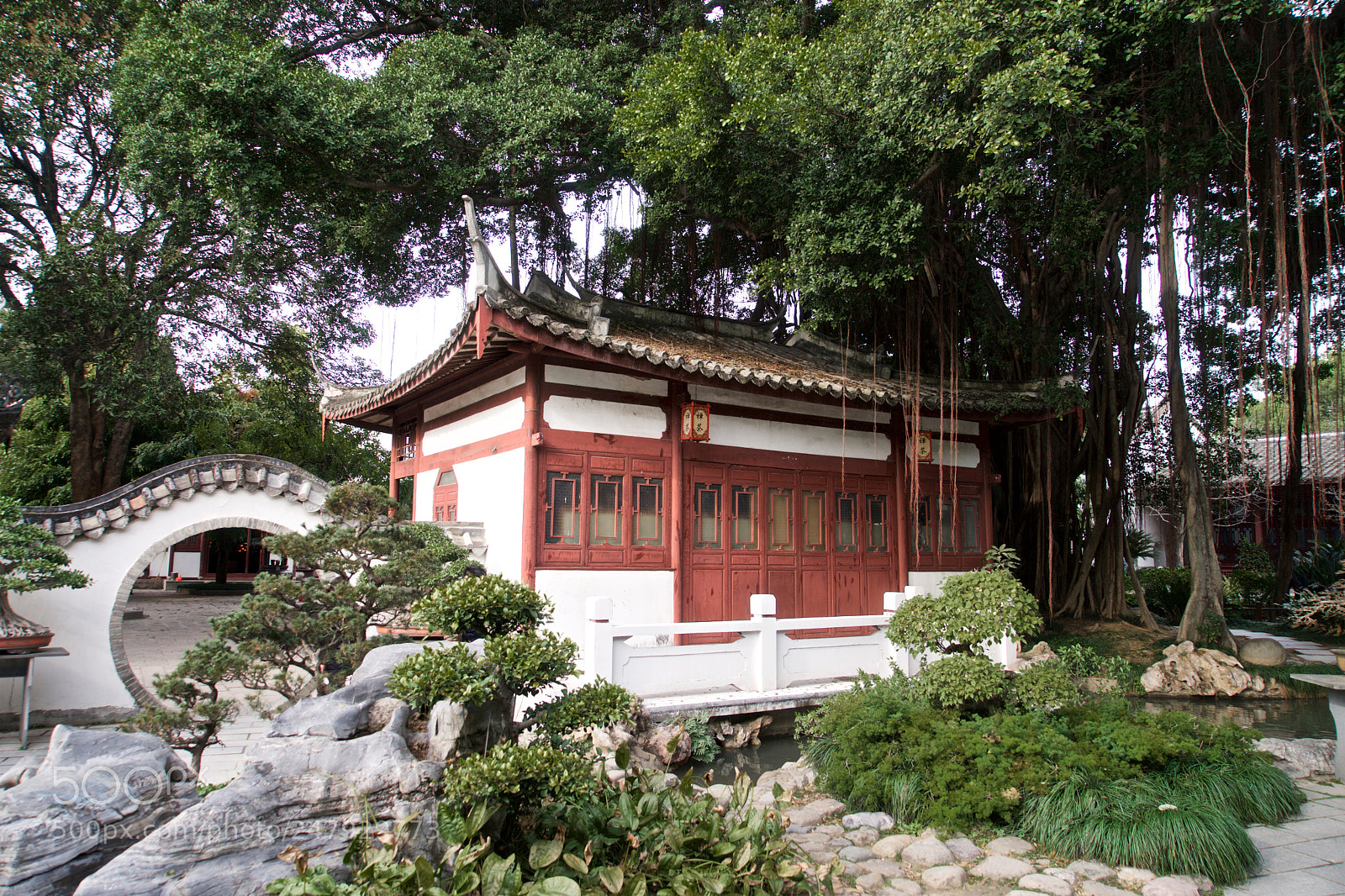 Sony a7 sample photo. Fuzhou west lake park photography
