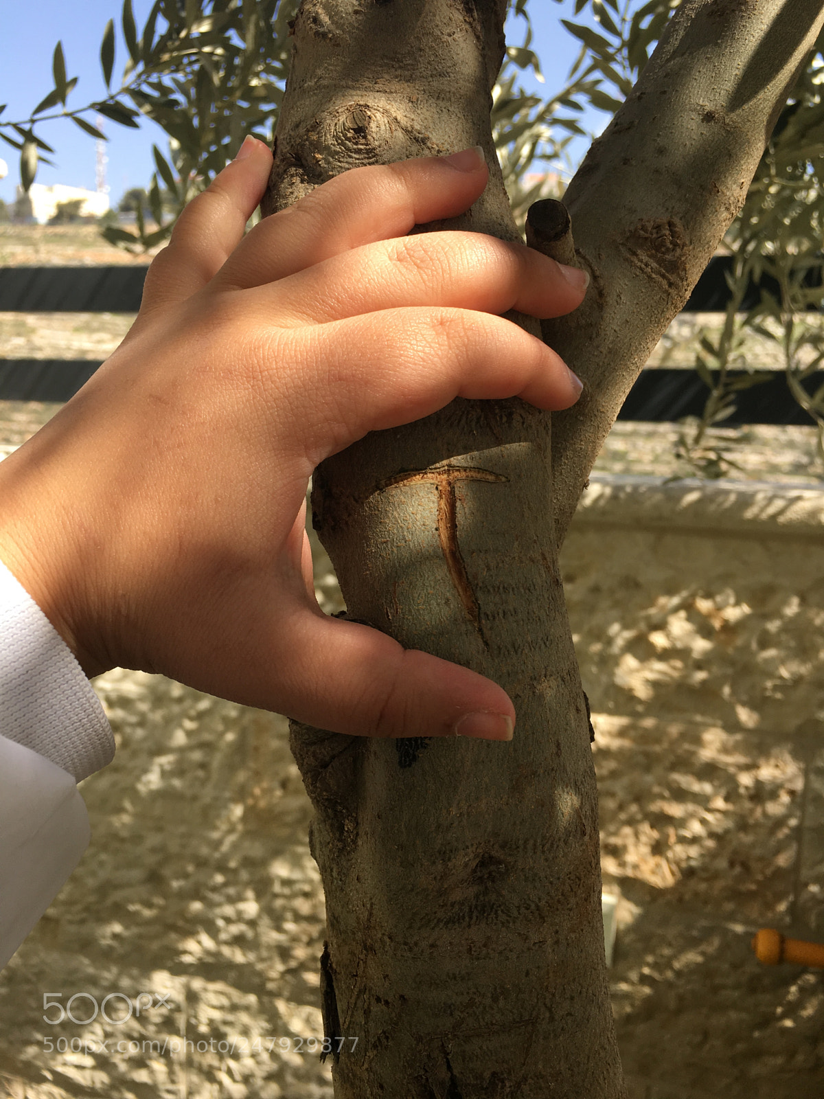 Apple iPhone 6s sample photo. Untitled photography