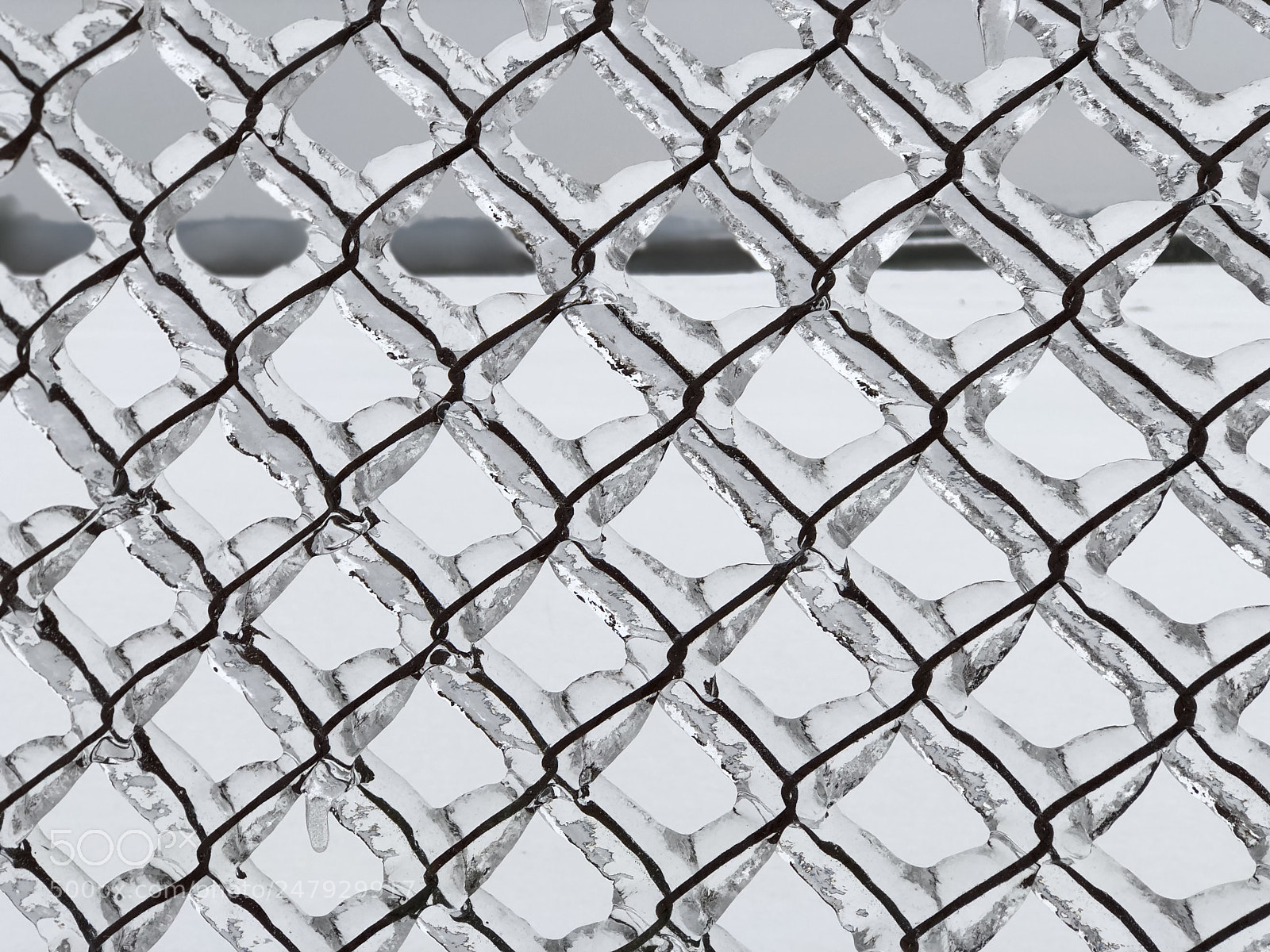 Apple iPhone 8 Plus sample photo. An amazingly iced up photography