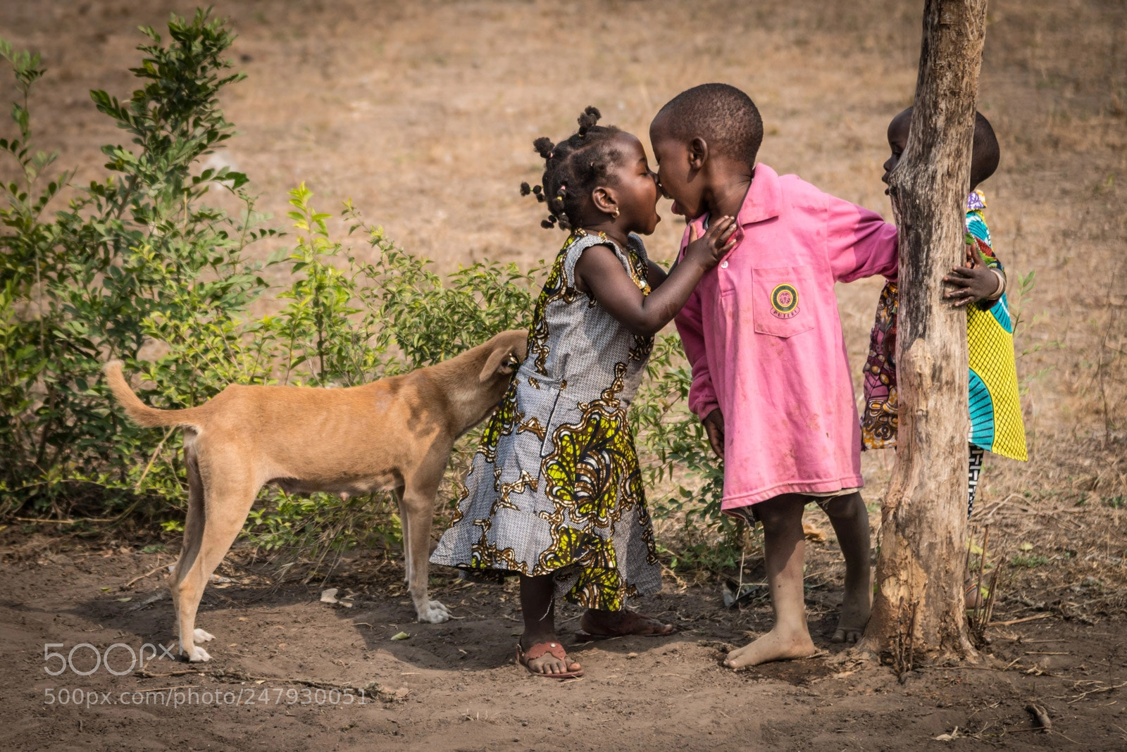 Nikon D800 sample photo. Imprinting photography