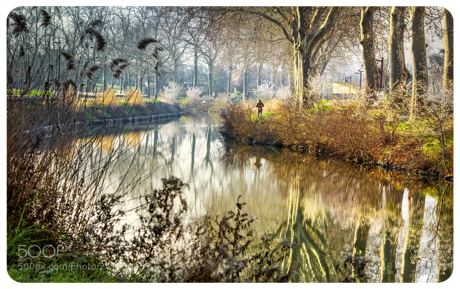 Nikon D7200 sample photo. A foretaste of spring. photography