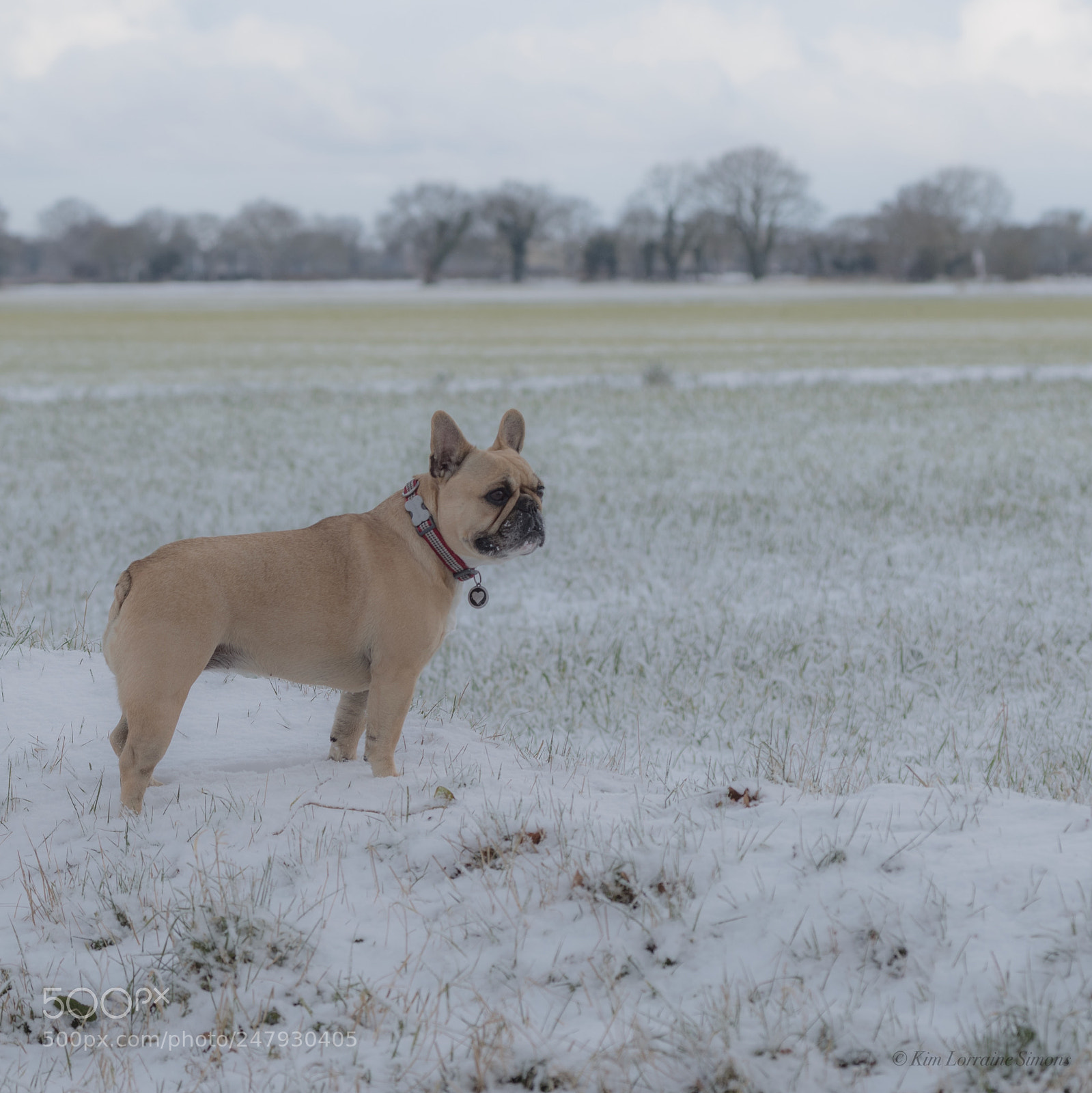 Nikon D5600 sample photo. Untitled photography