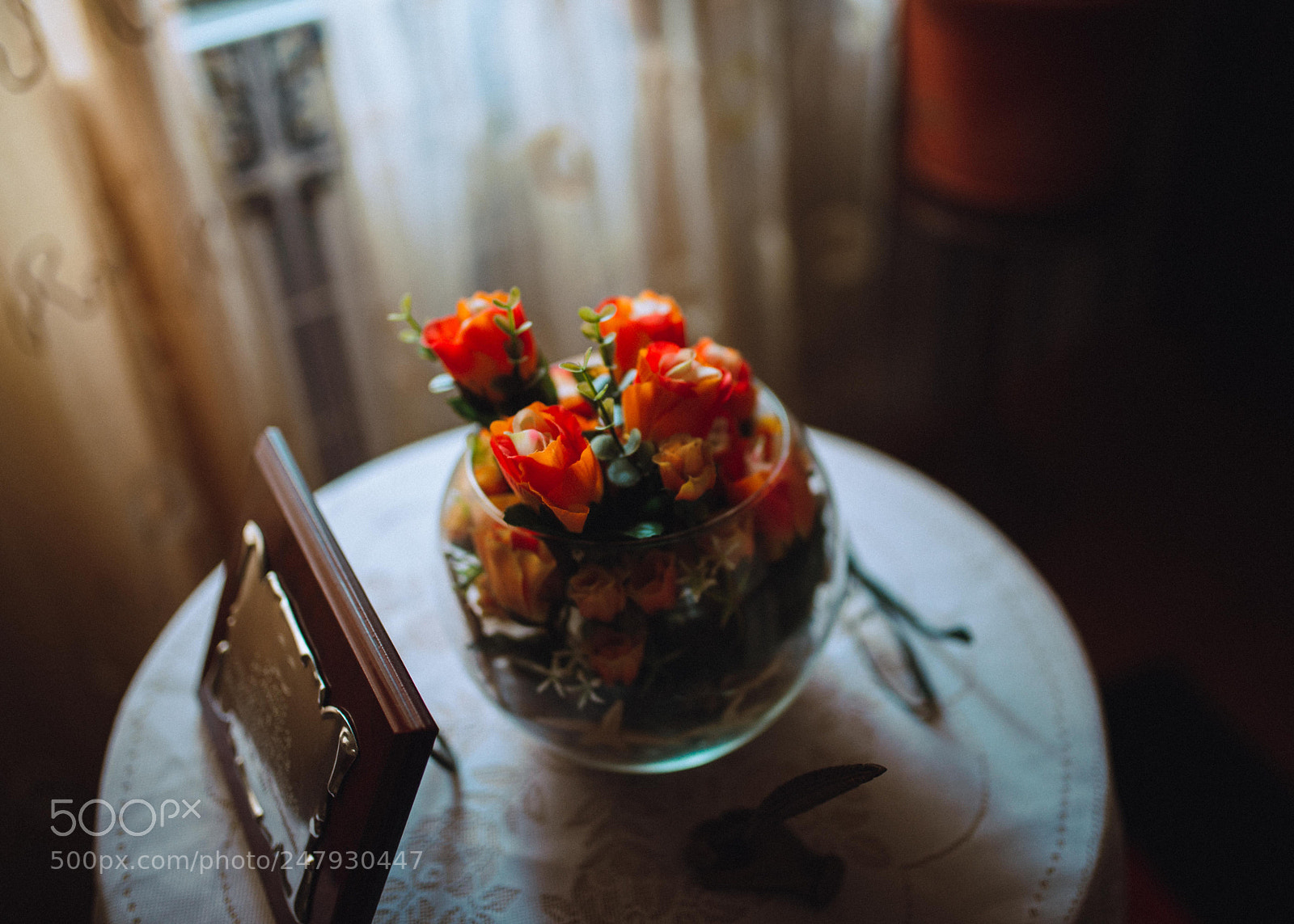 Nikon D610 sample photo. Untitled photography
