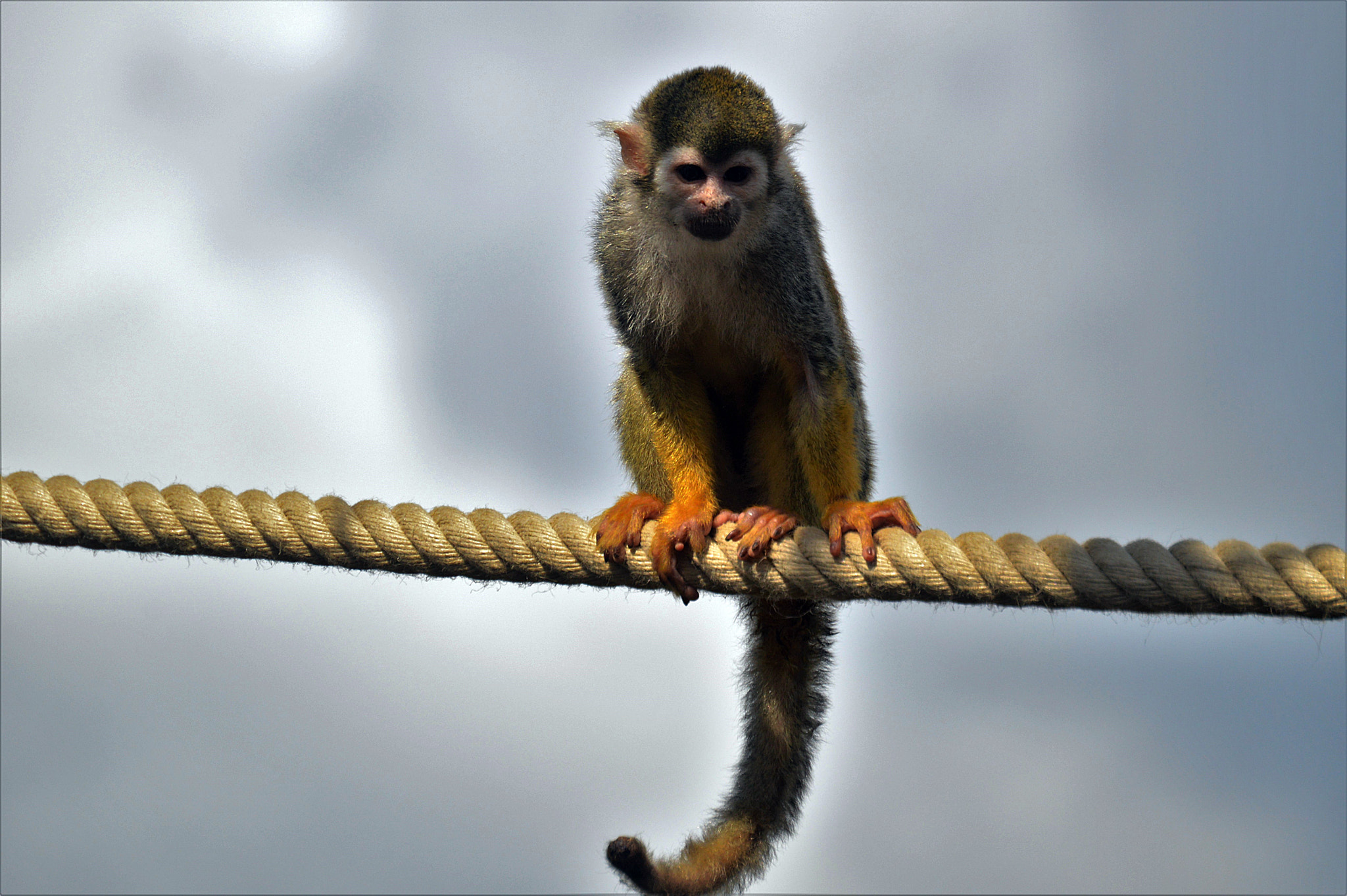 Nikon D3200 sample photo. Singe photography