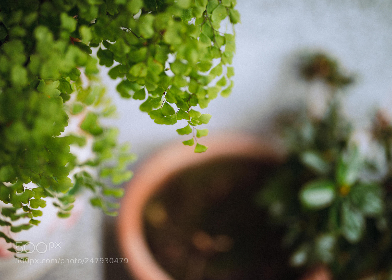 Nikon D610 sample photo. Untitled photography