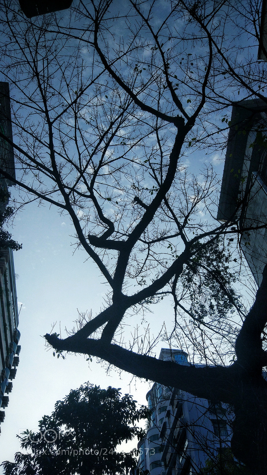 Xiaomi MI 5 sample photo. Untitled photography