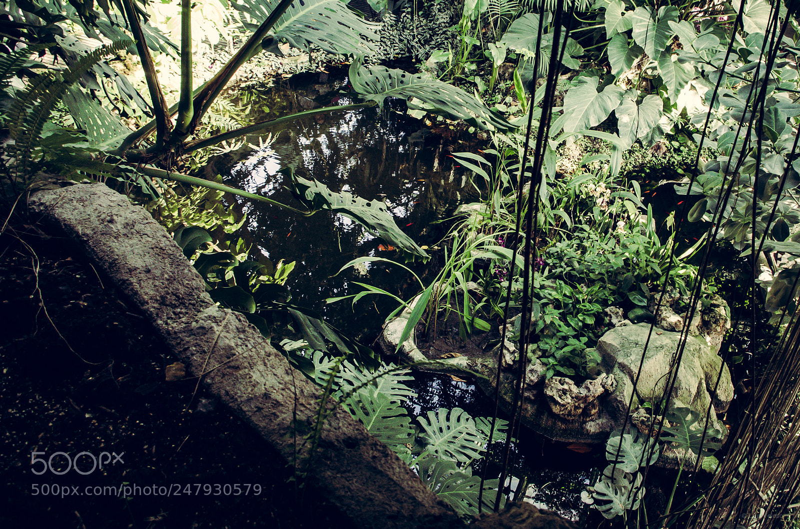 Pentax K-30 sample photo. Jardin des plantes photography