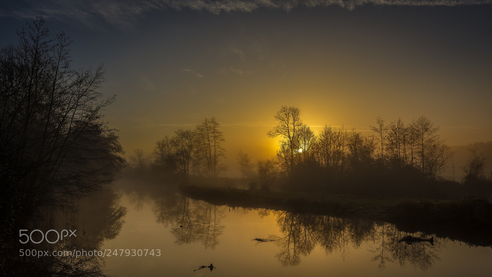 Nikon D7200 sample photo. Petit matin sur la photography