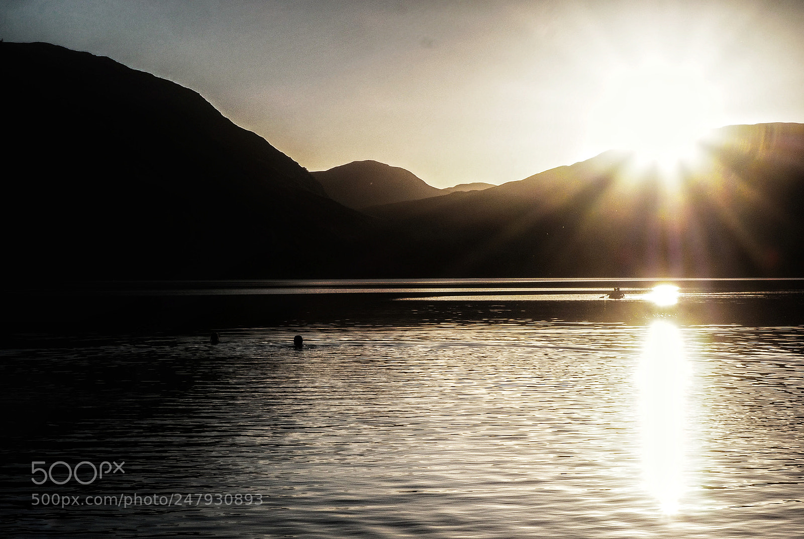 Olympus OM-D E-M10 II sample photo. Wild swimming photography