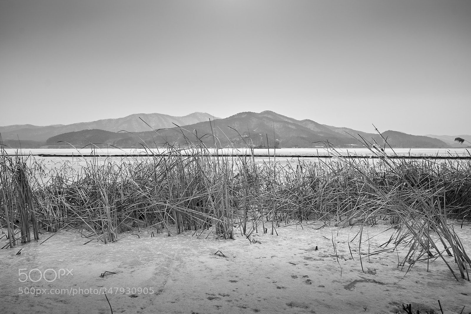 Sony a7 II sample photo. 가부좌구도세미원 dsc photography