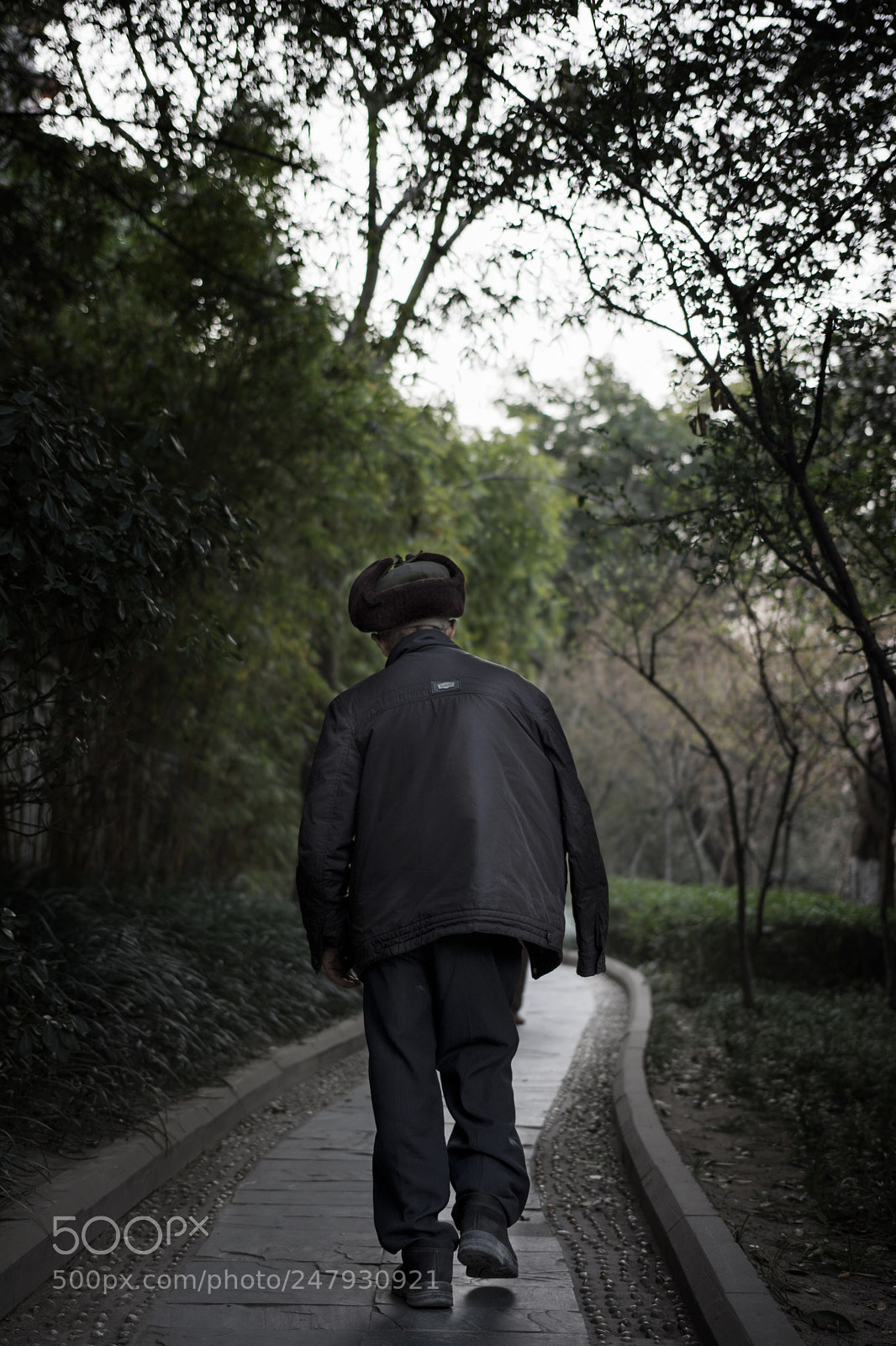 Nikon D7100 sample photo. Back view photography
