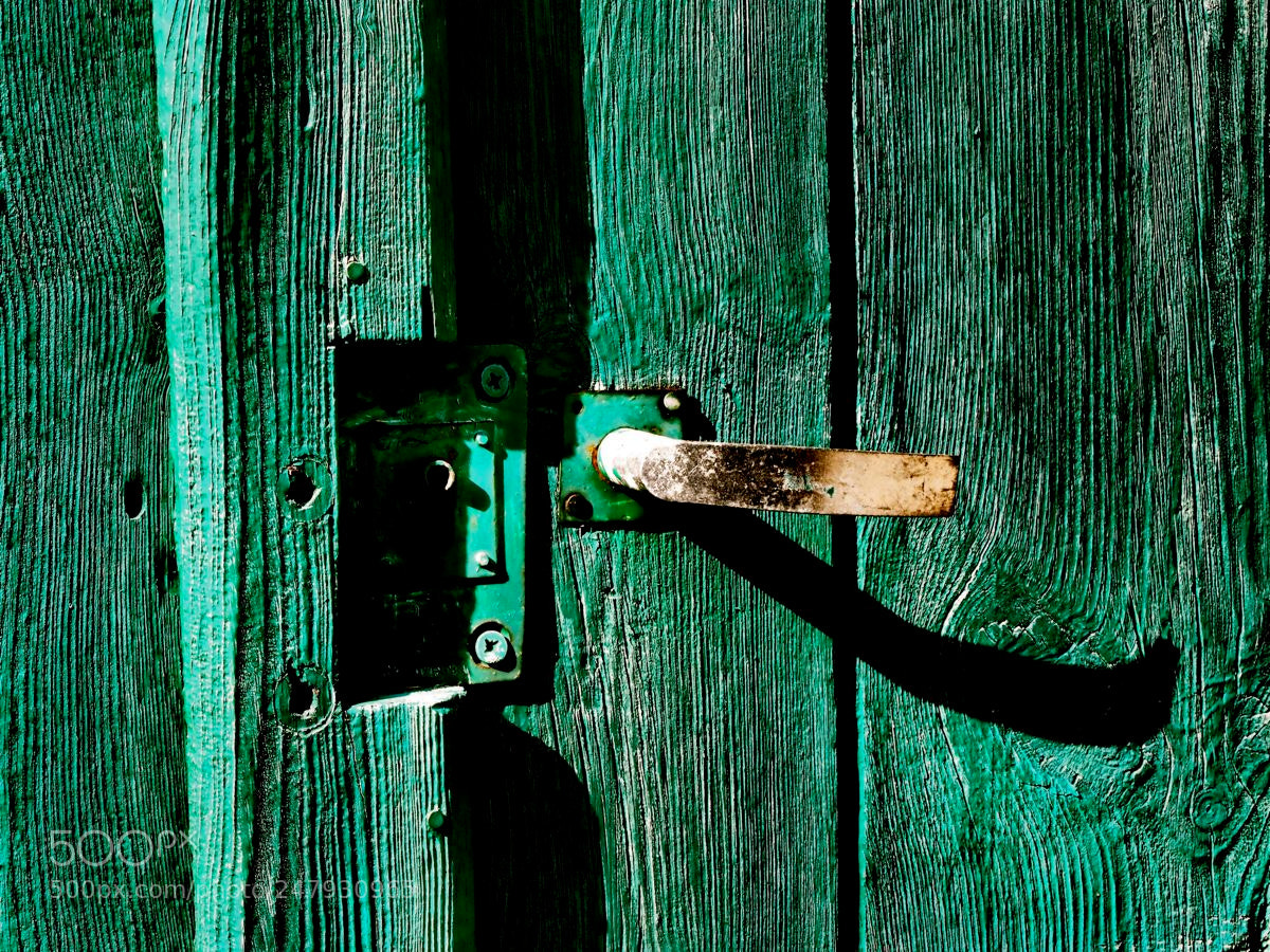 Olympus OM-D E-M5 sample photo. La porte verte photography