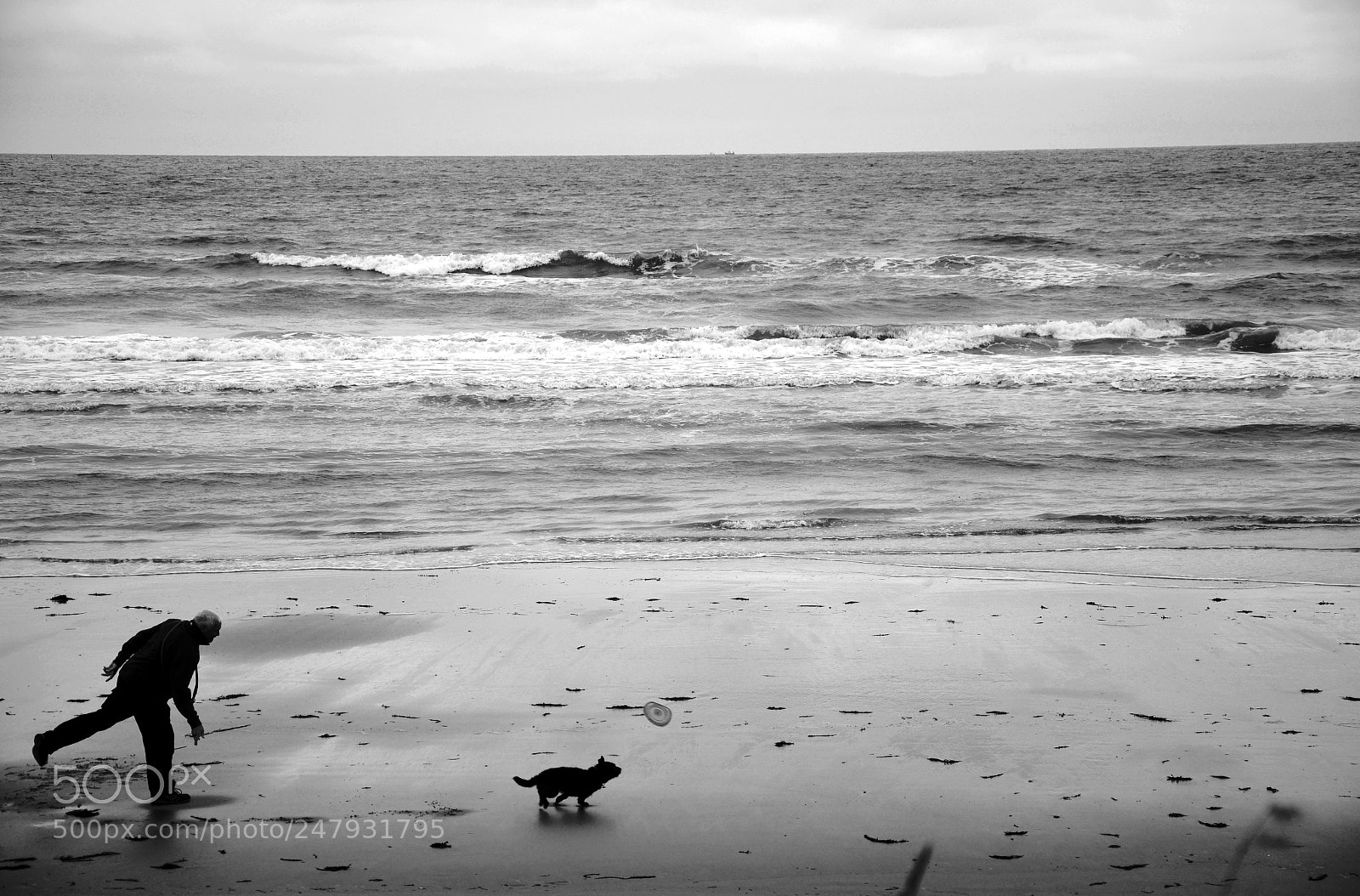 Nikon D5100 sample photo. Untitled photography