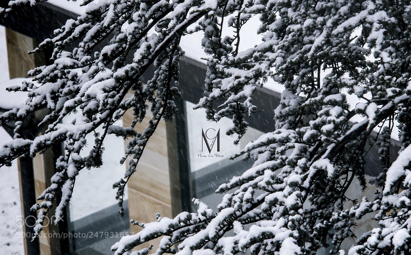 Nikon D7200 sample photo. Snow photography