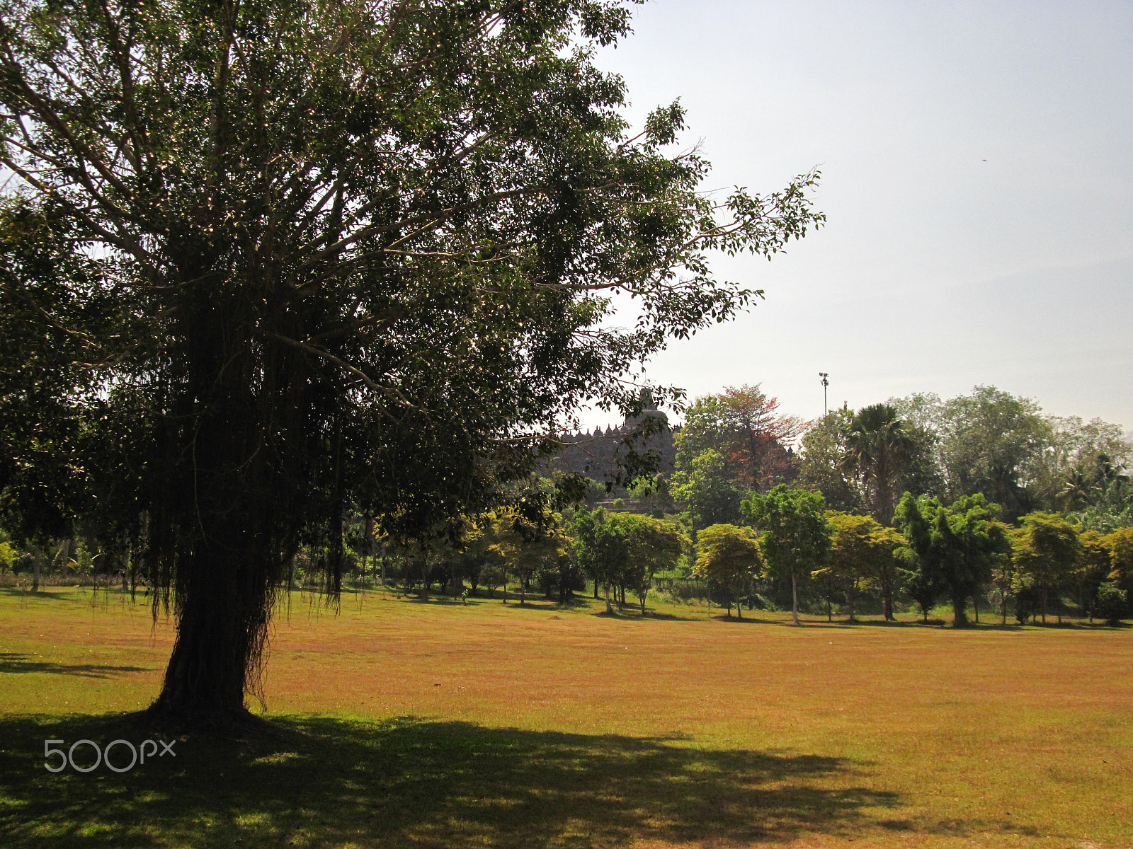 Canon PowerShot A2100 IS sample photo. Borobudur photography