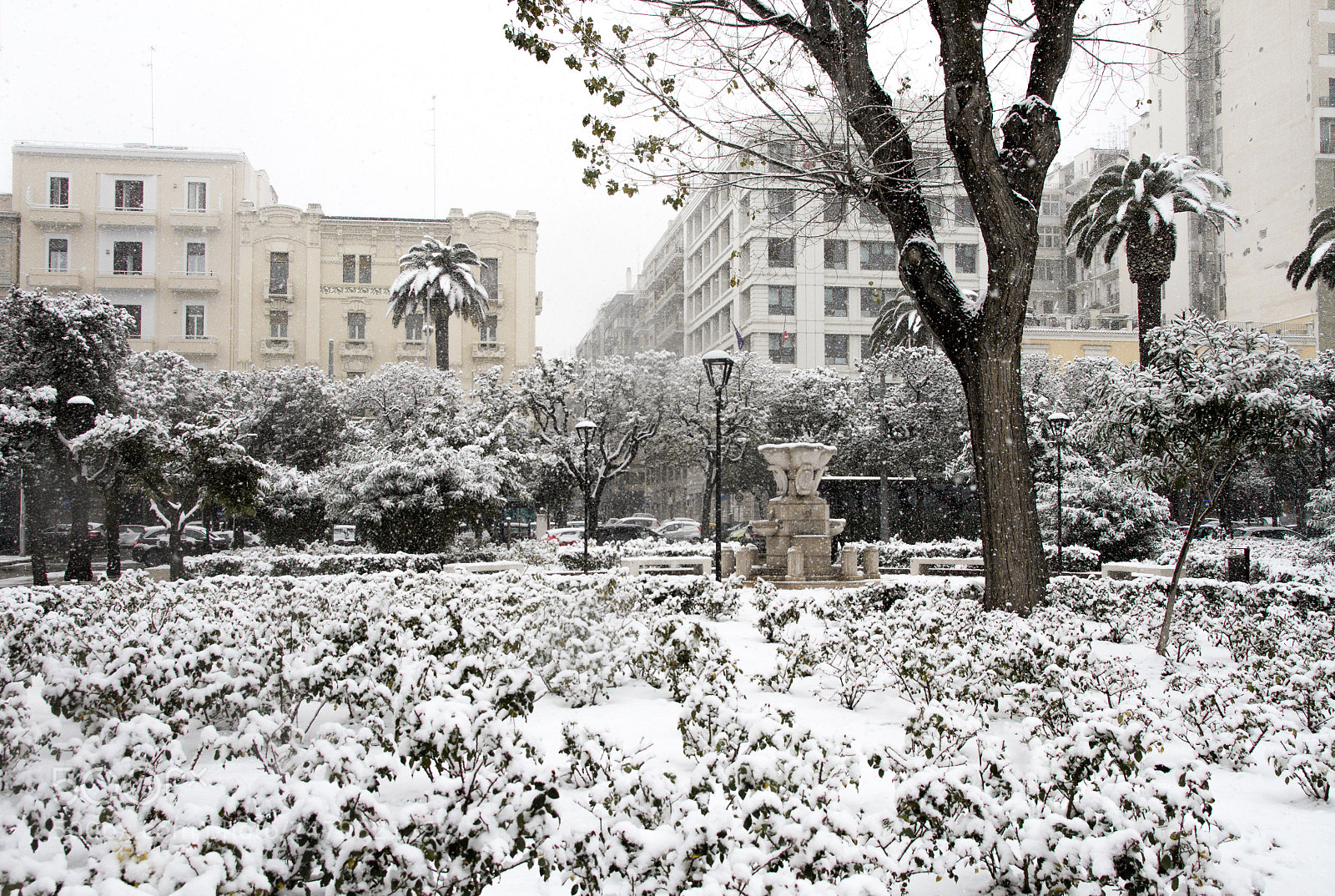 Canon EOS 7D sample photo. Snow in the city photography