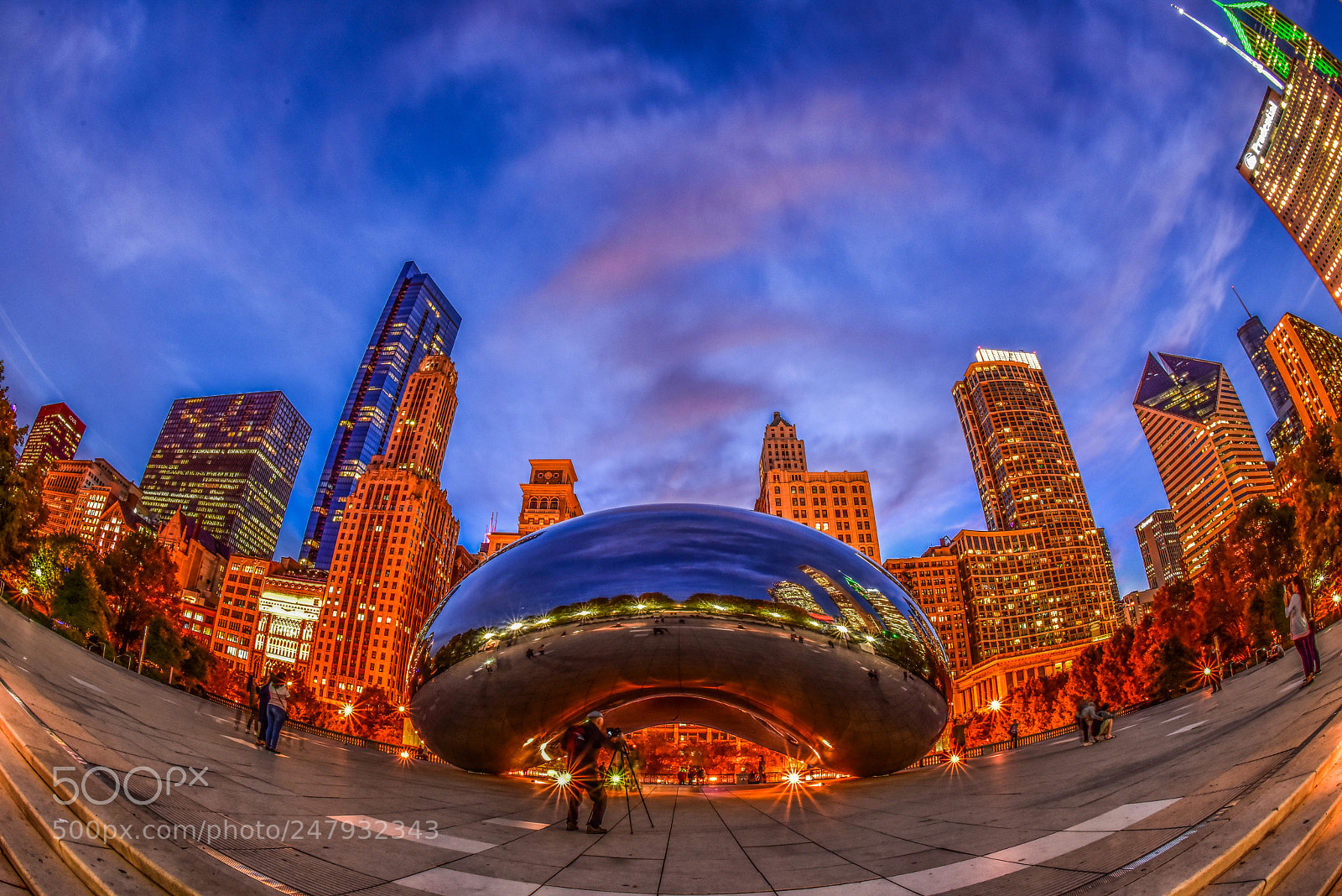 Nikon D810 sample photo. The bean (chicago) photography