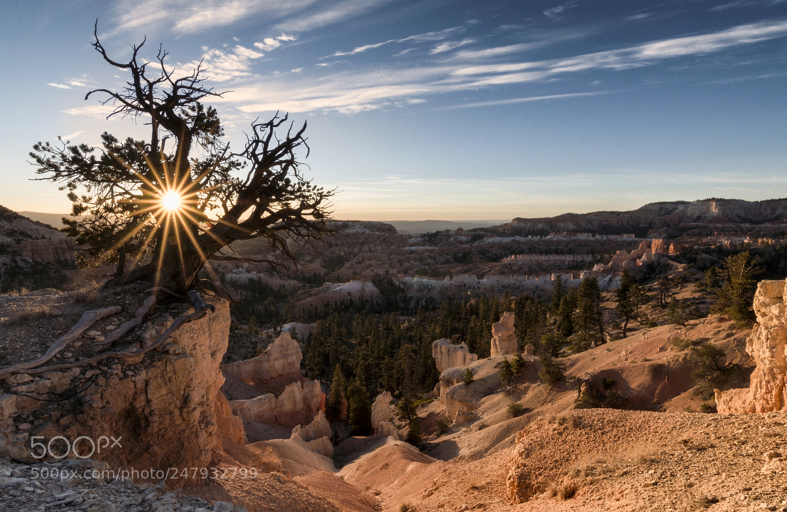 Nikon D7200 sample photo. Sunrise over bryce canyon photography