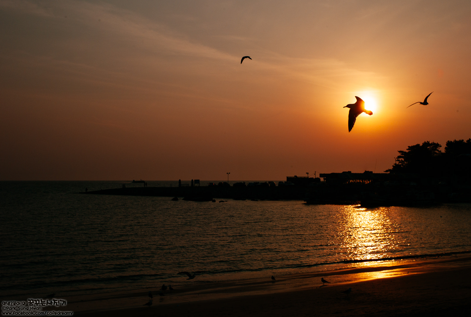 Leica M8 sample photo. 을왕리 석양.. photography