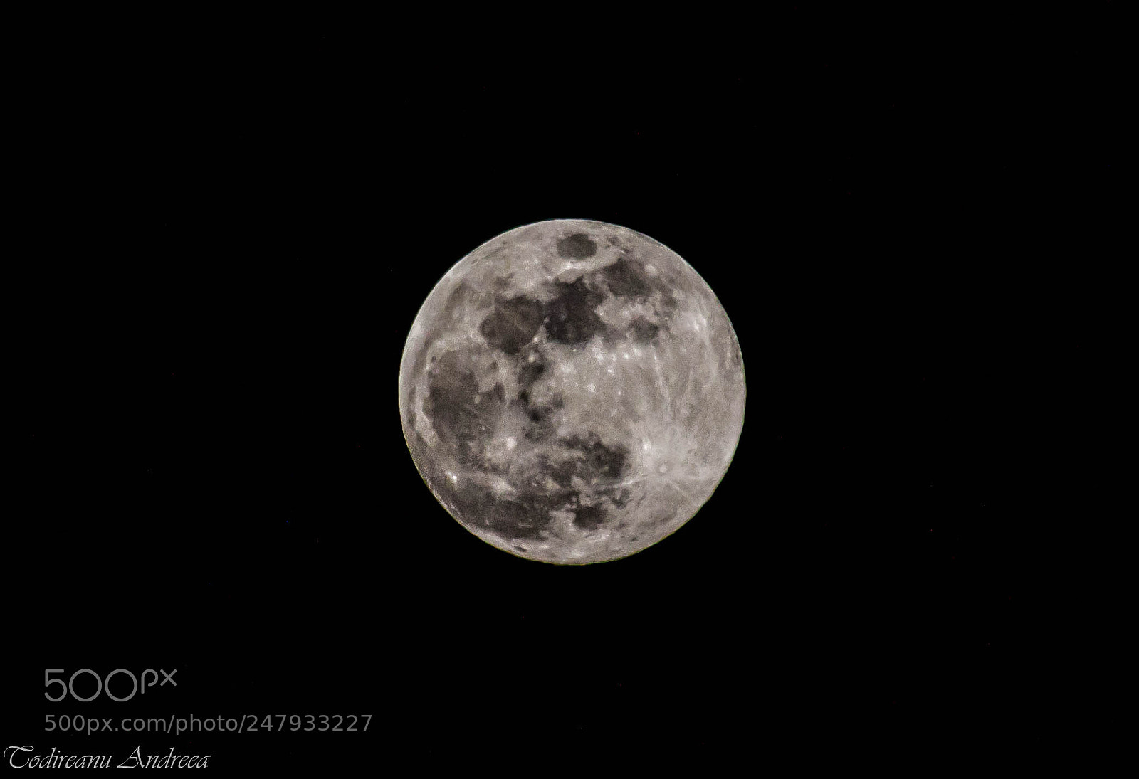 Canon EOS 600D (Rebel EOS T3i / EOS Kiss X5) sample photo. The queen moon photography
