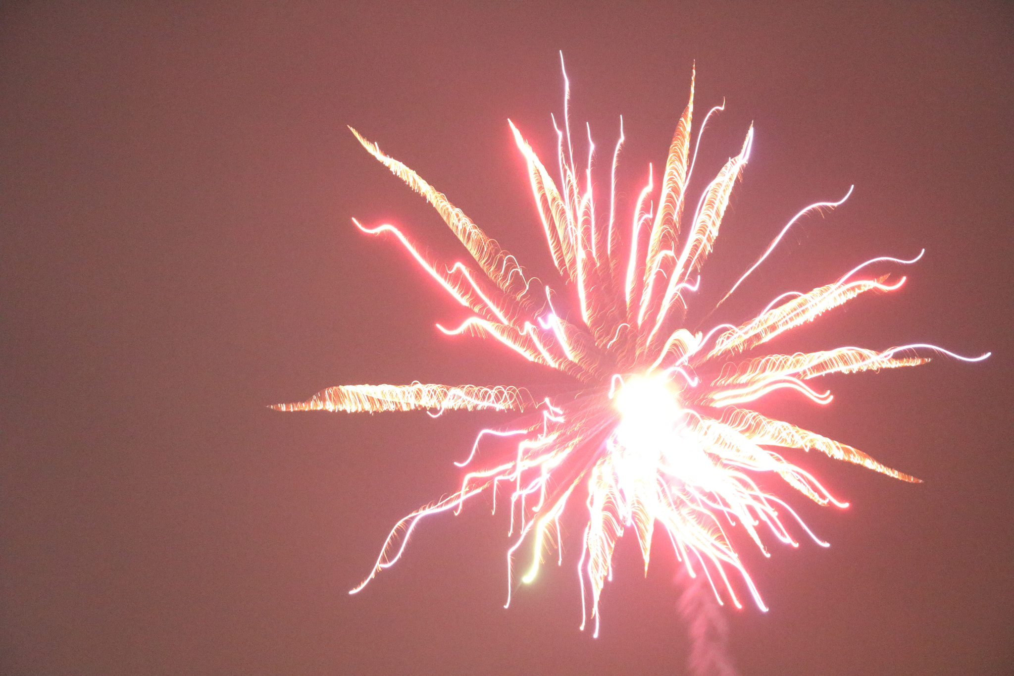 Canon EOS 750D (EOS Rebel T6i / EOS Kiss X8i) sample photo