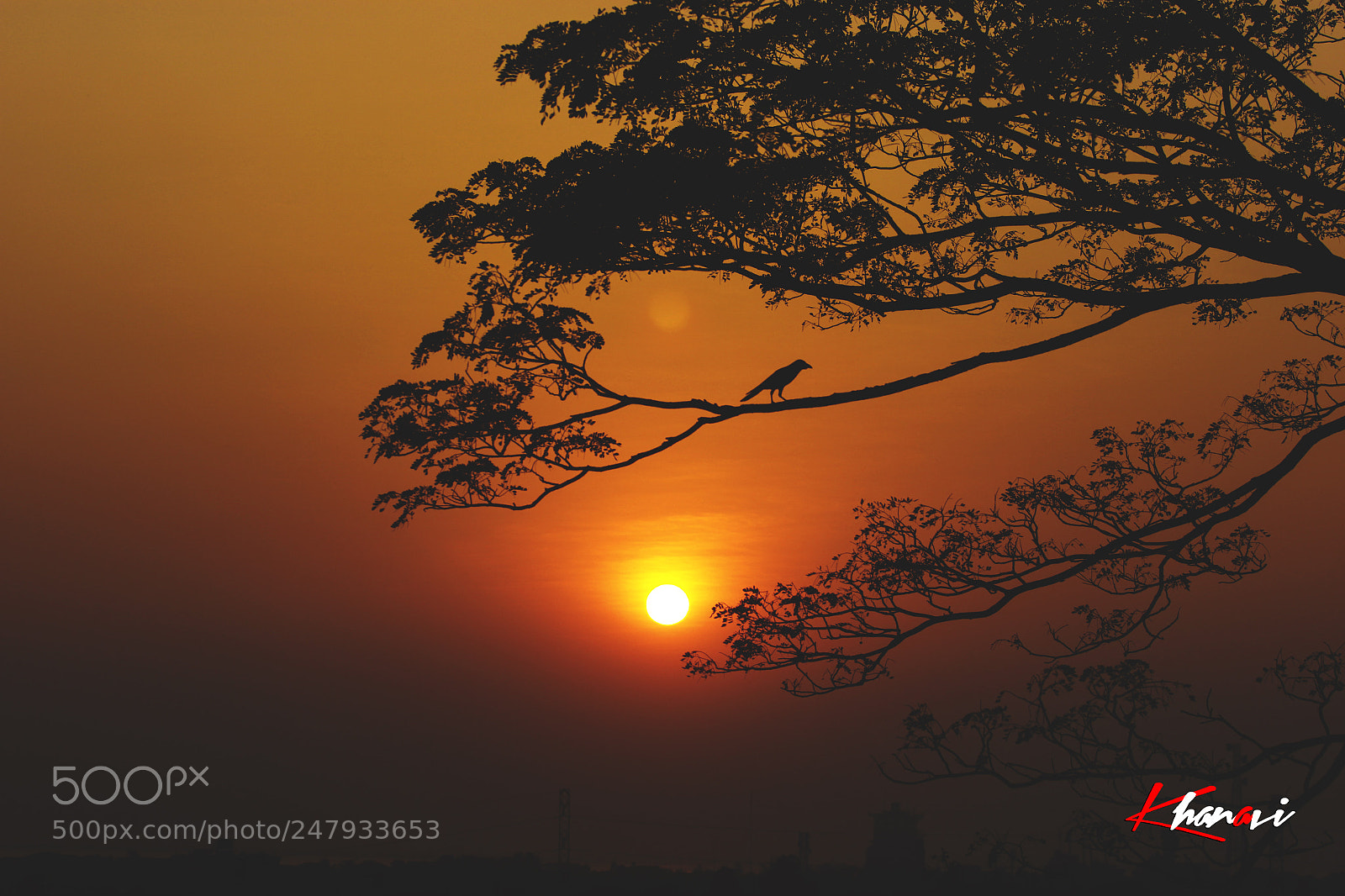 Canon EOS 60D sample photo. Untitled photography