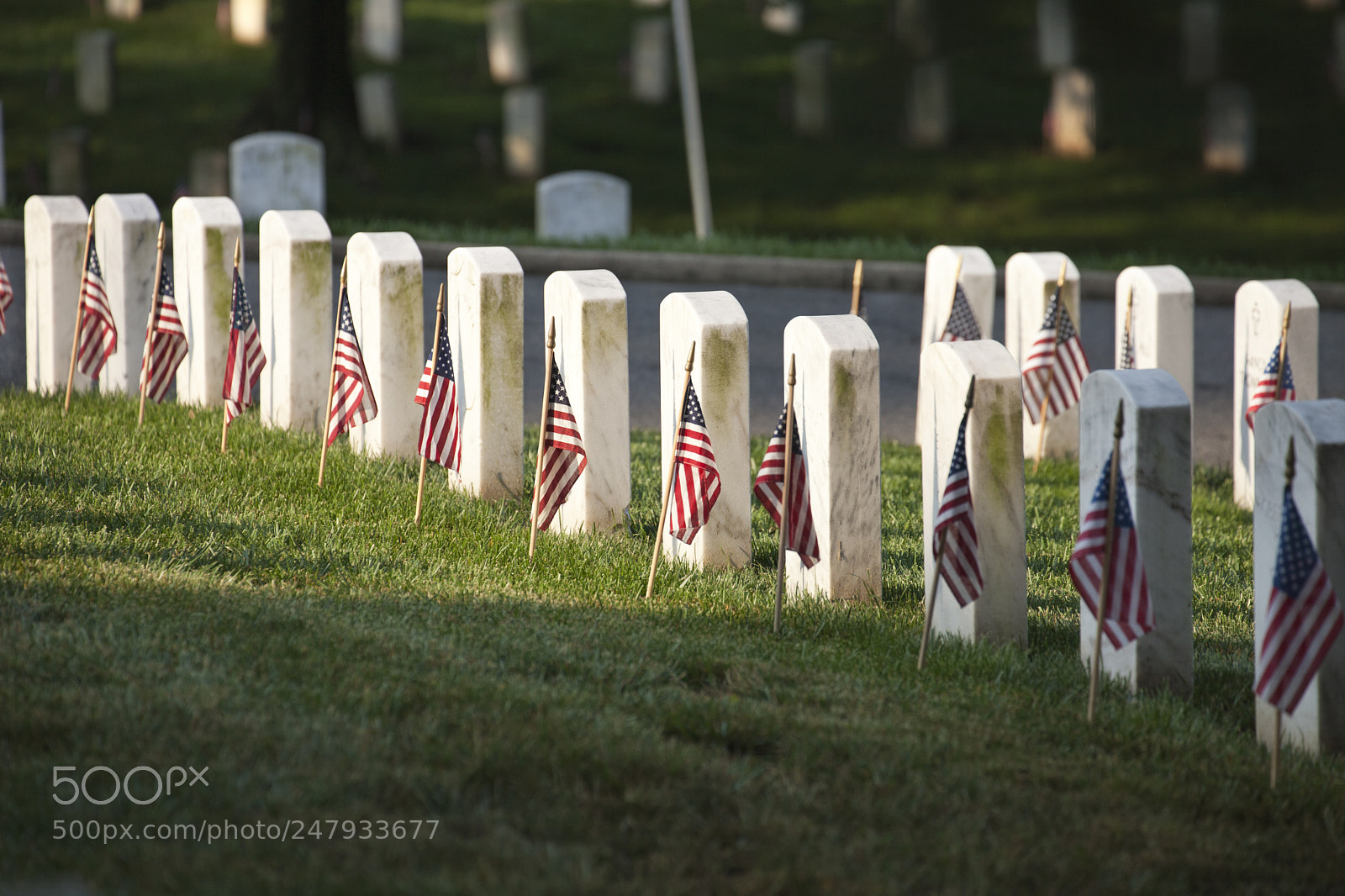 Canon EOS 5D Mark II sample photo. Grave markers with flags photography