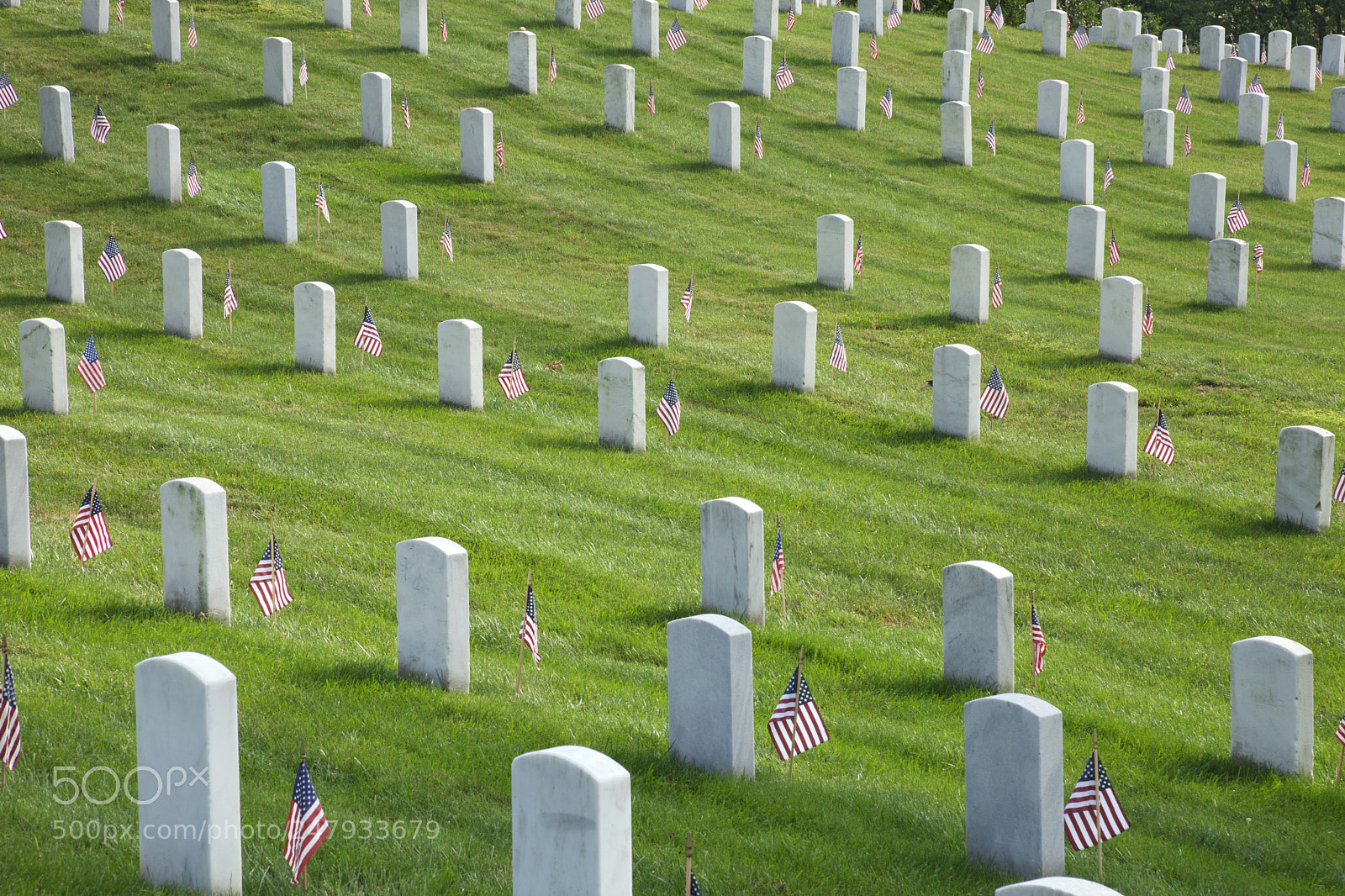 Canon EOS 5D Mark II sample photo. Tombstones at arlington national photography