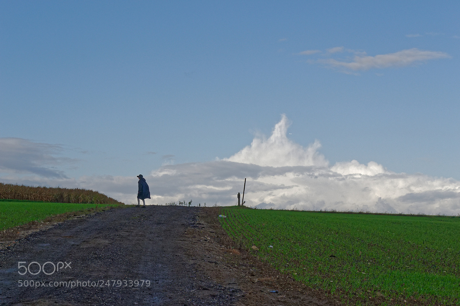 Nikon D3100 sample photo. Passing by photography