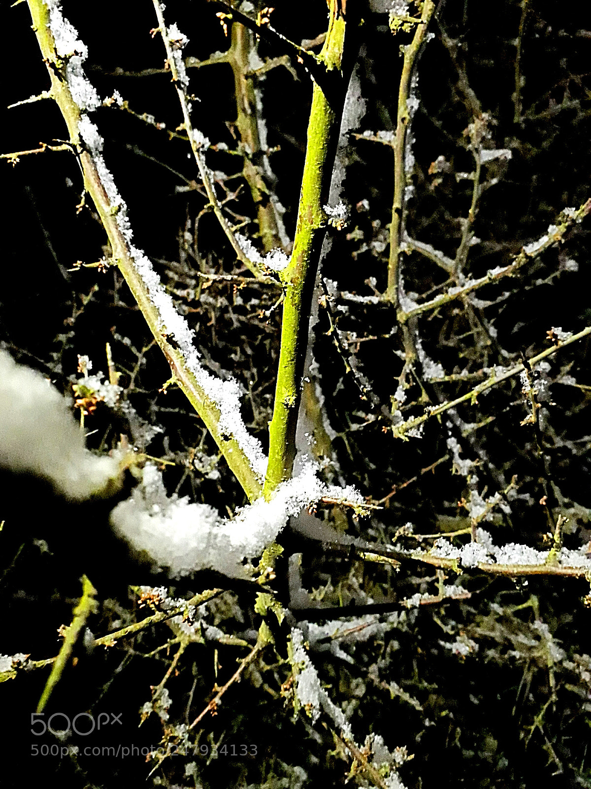 Samsung Galaxy A3(2017) sample photo. Snow photography