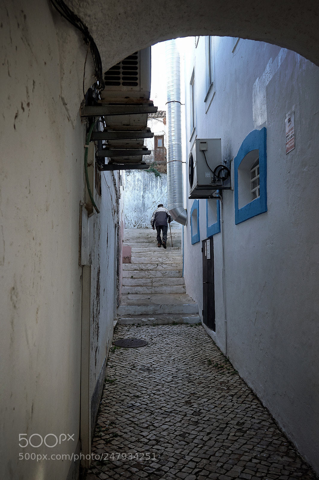 Sony Cyber-shot DSC-RX10 III sample photo. Struggle.. photography