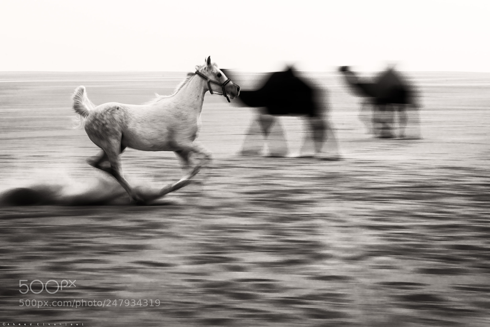 Nikon D810 sample photo. In motion photography