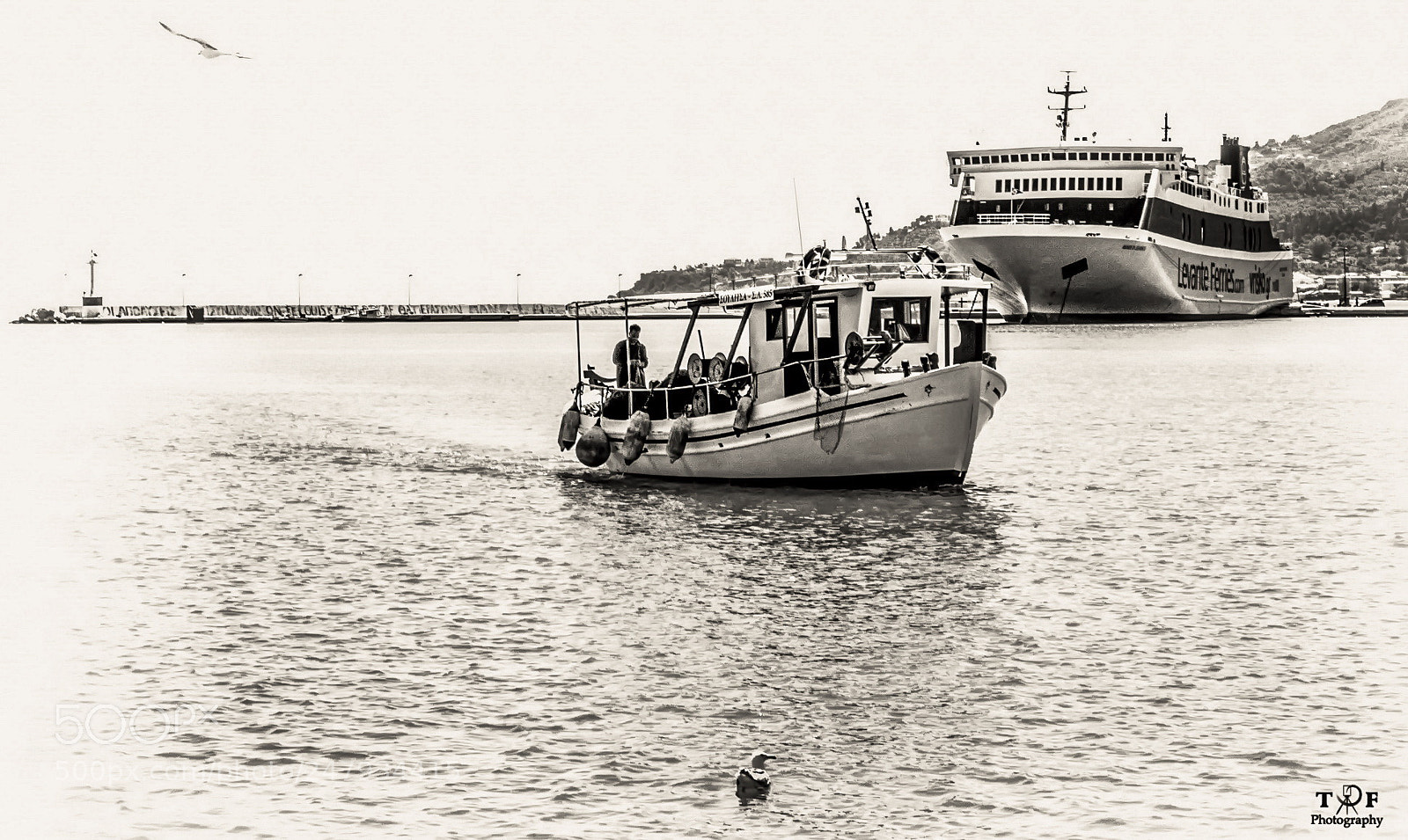 Panasonic Lumix DMC-GX8 sample photo. Untitled photography