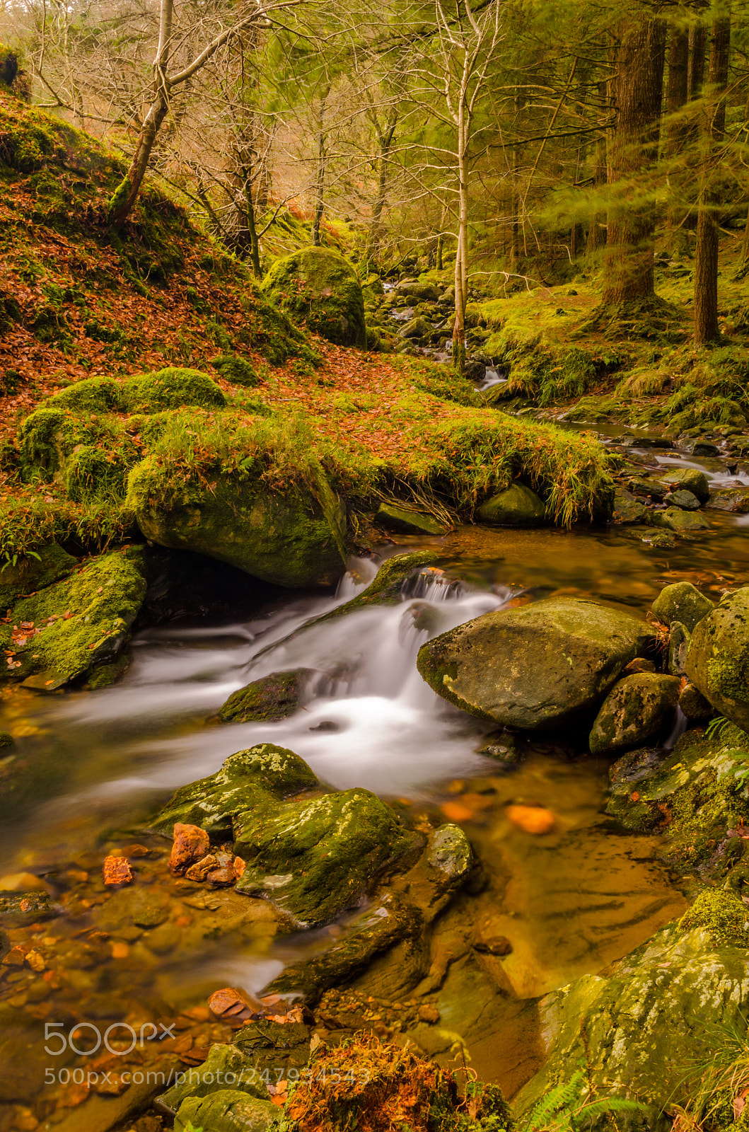 Nikon D5100 sample photo. Somewhere in glendalough | wicklow photography