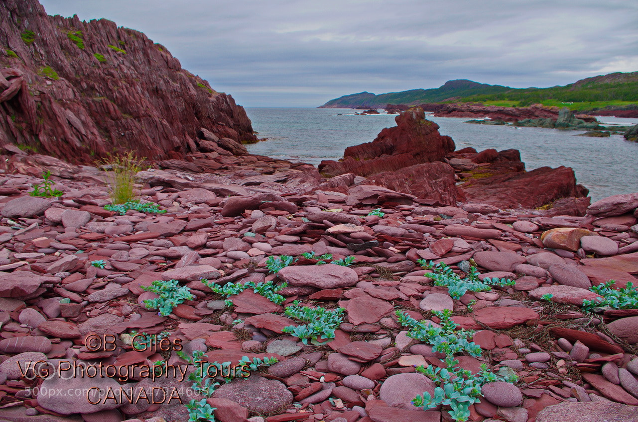 Pentax K-5 IIs sample photo. Red rock beach photography