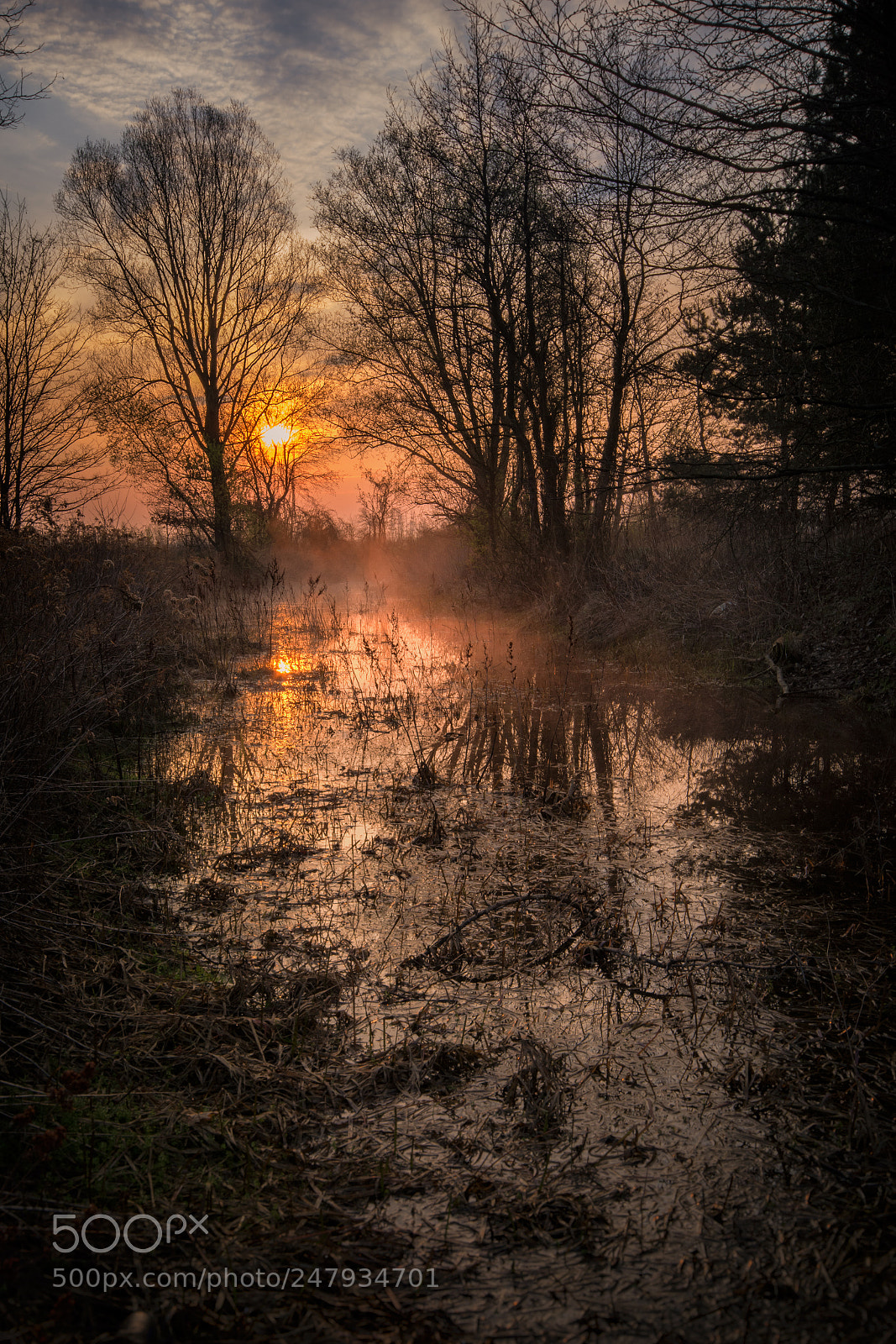 Nikon D7100 sample photo. Misty mourning photography