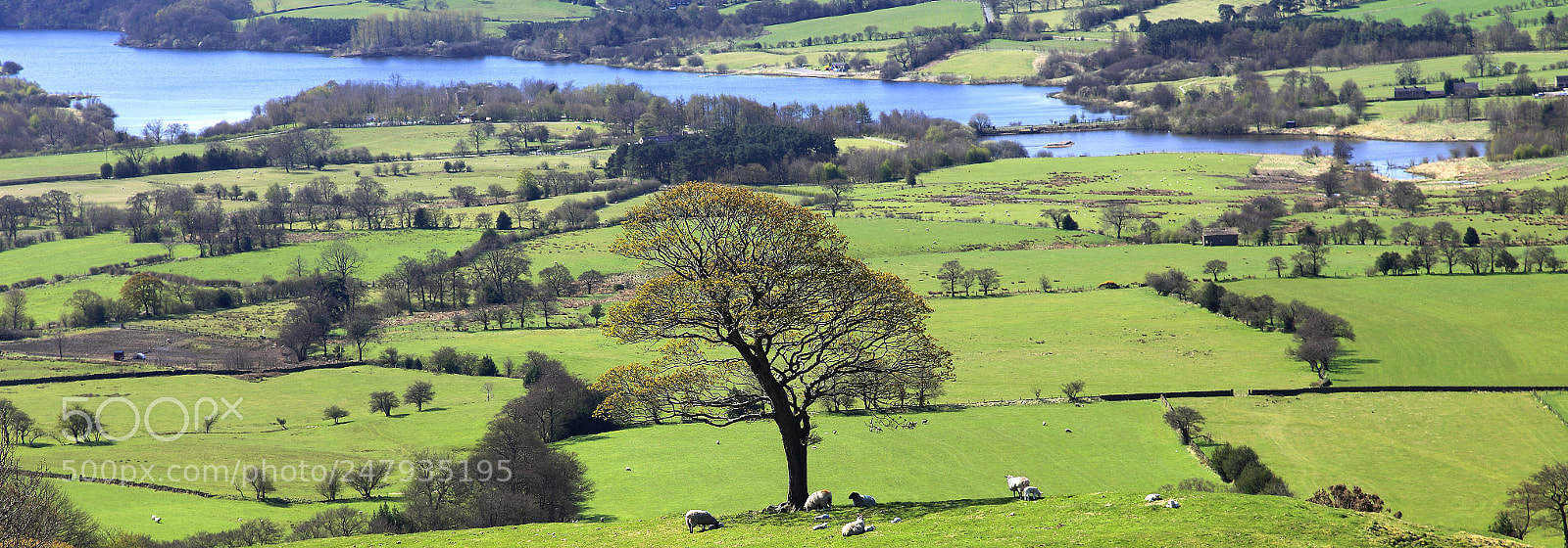 Canon EOS 5D Mark II sample photo. Tittesworth reservoir photography