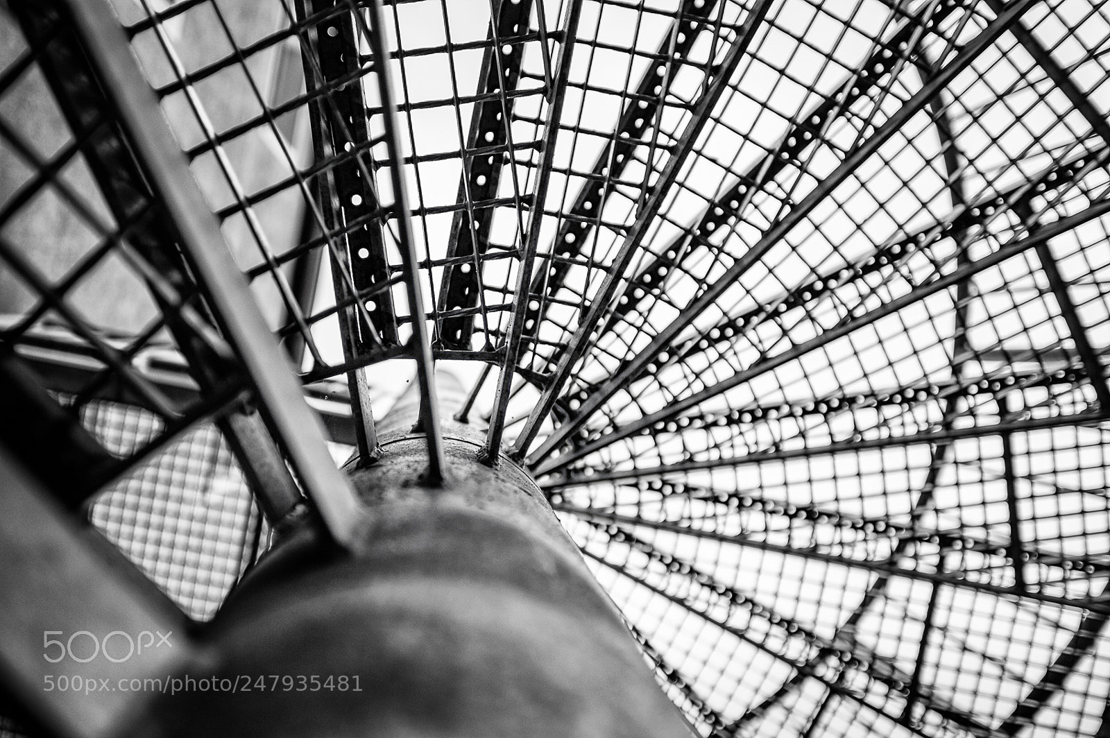 Nikon D3 sample photo. ... view upwards photography